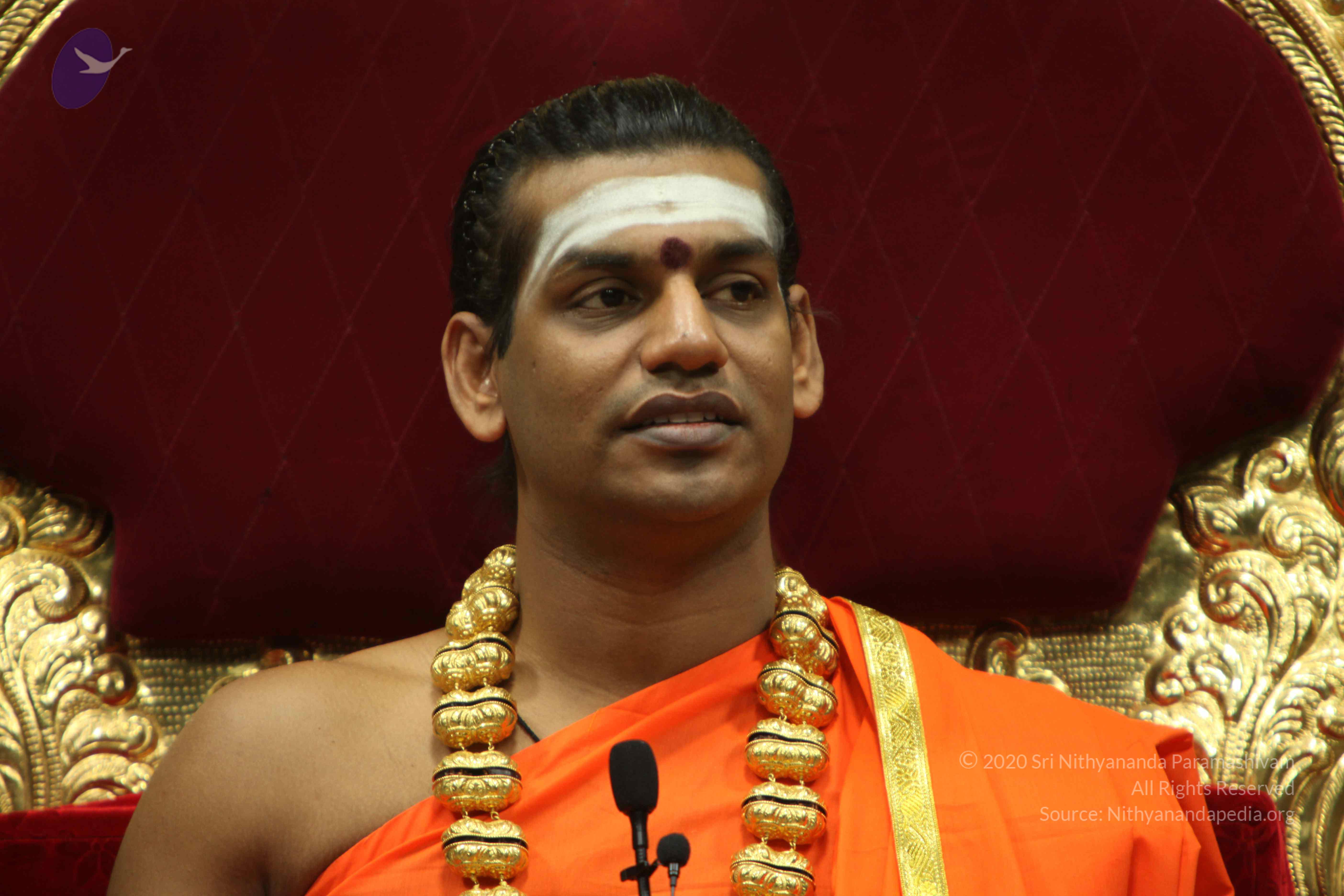 20110305_Photo_1057_IMG_7932_CMP_WM