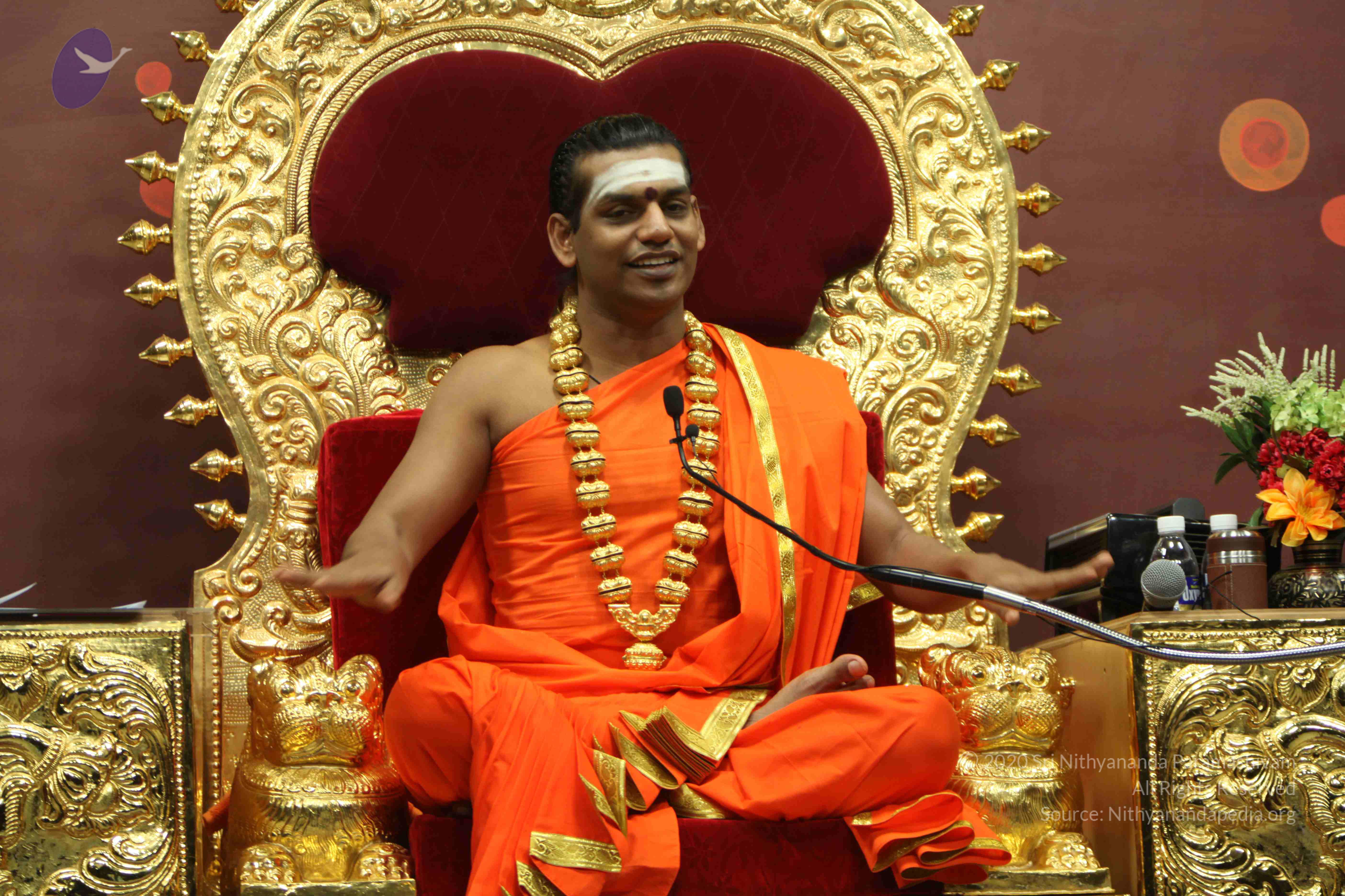 20110305_Photo_1064_IMG_7998_CMP_WM