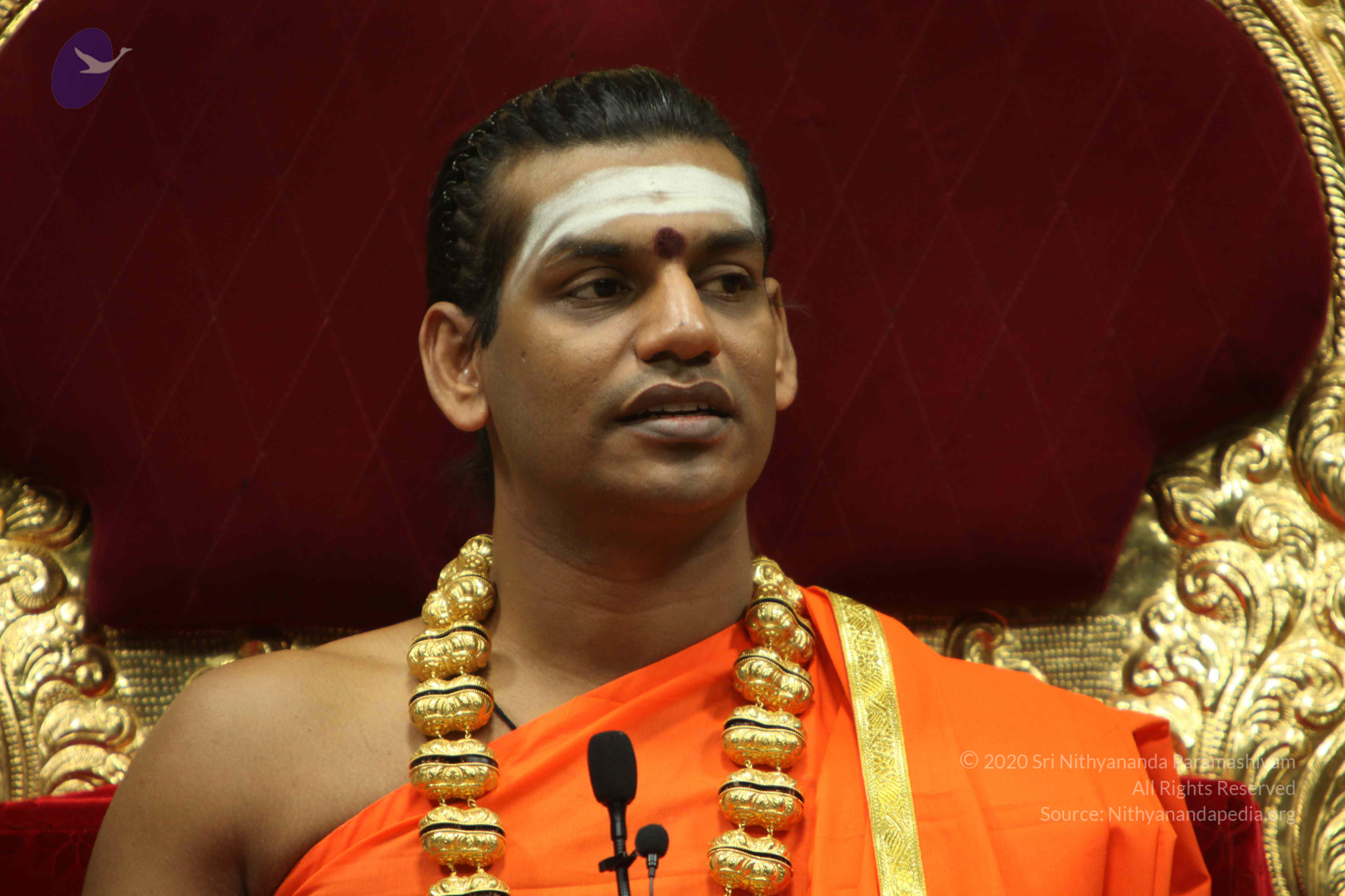 20110305_Photo_1072_IMG_7935_CMP_WM