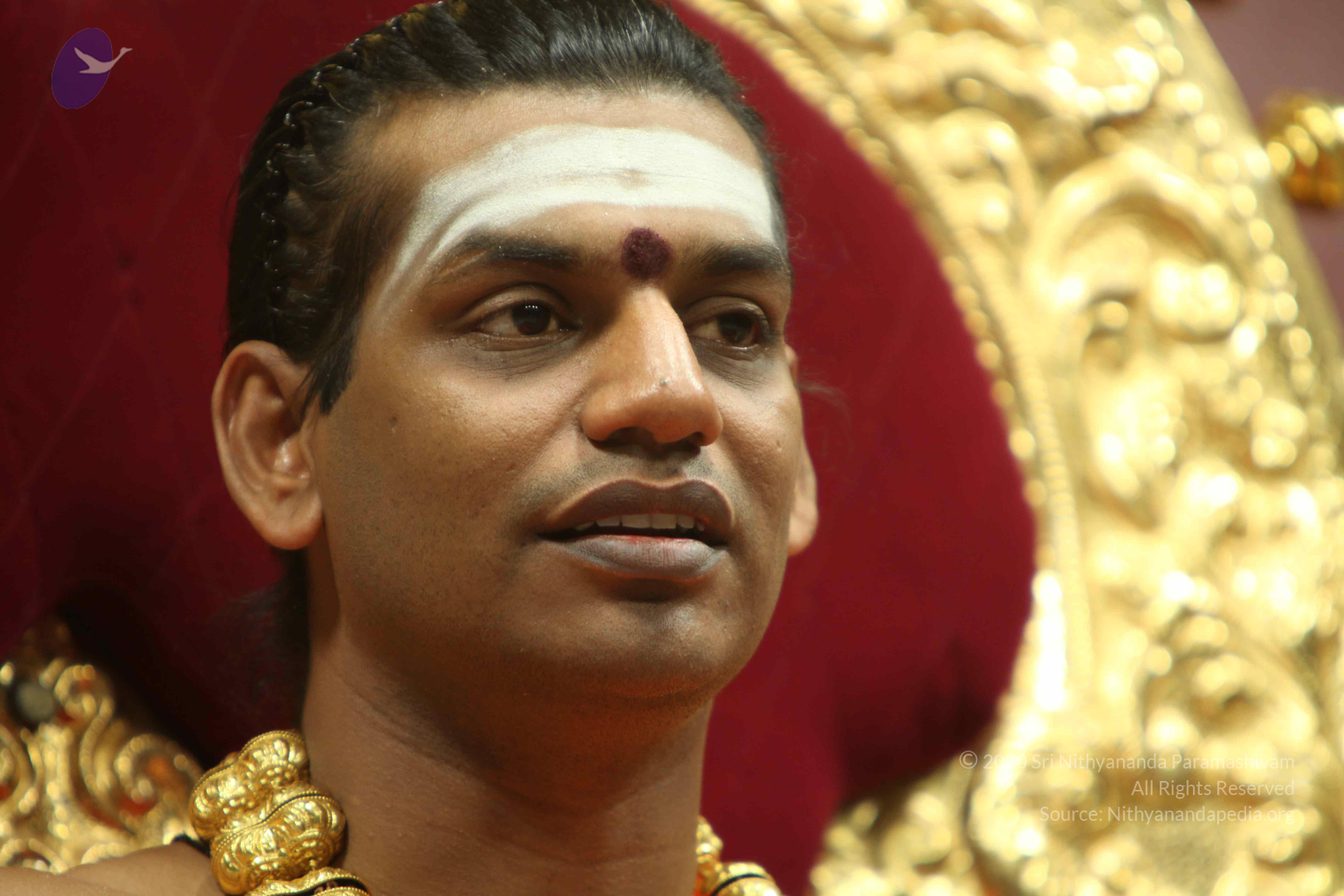 20110305_Photo_1085_IMG_8052_CMP_WM