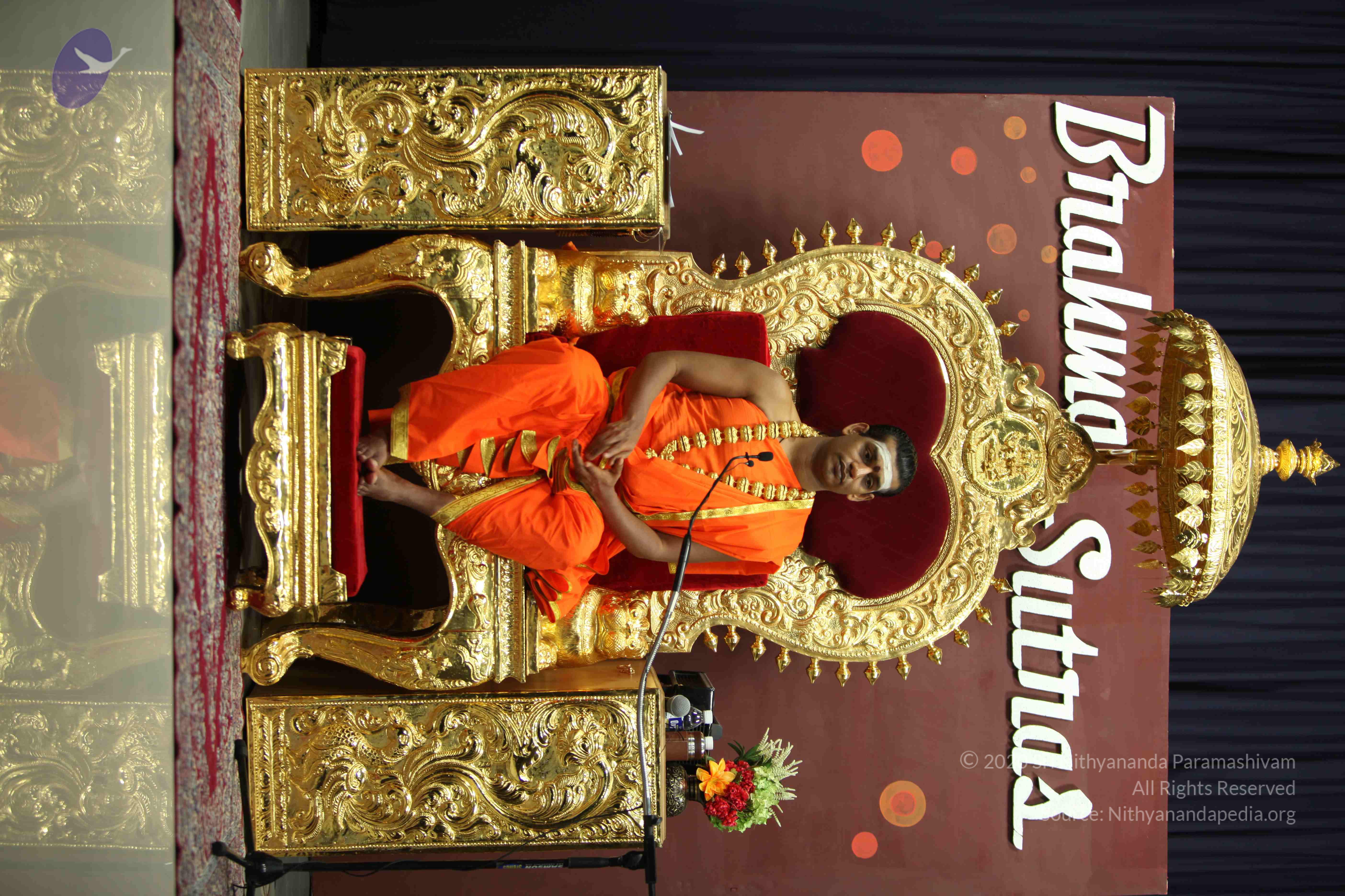 20110305_Photo_1086_IMG_8113_CMP_WM