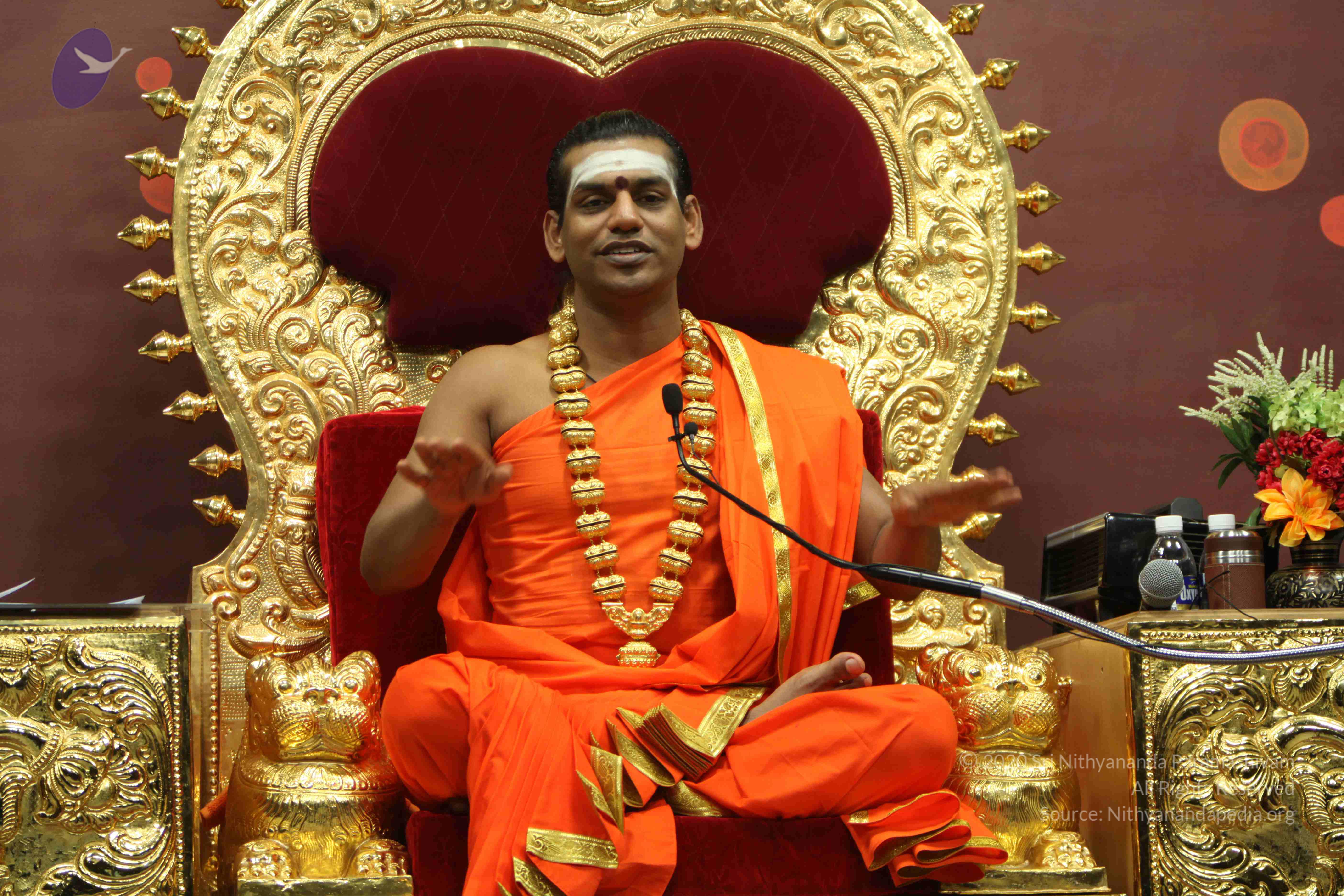 20110305_Photo_1104_IMG_8002_CMP_WM