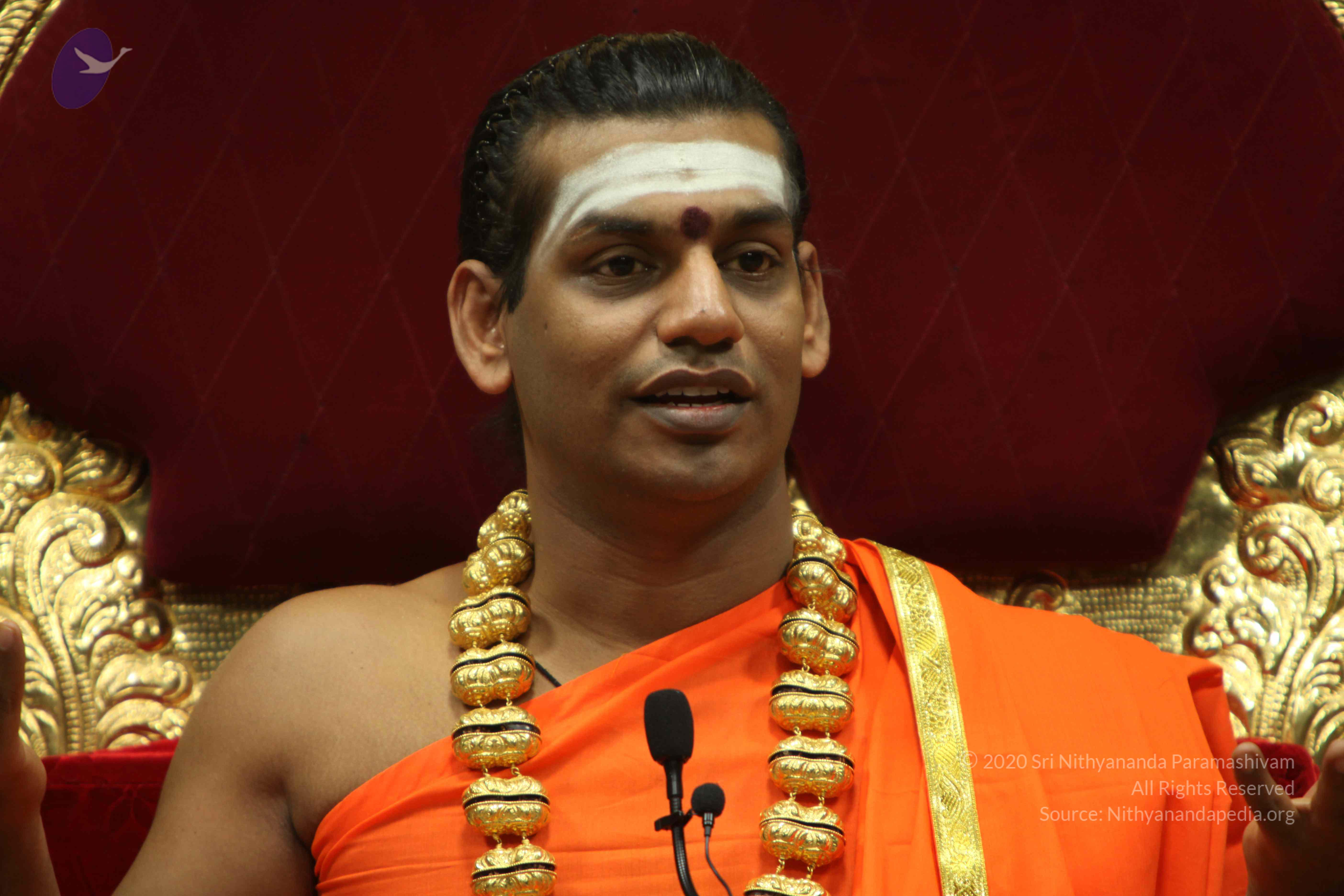 20110305_Photo_1110_IMG_7965_CMP_WM