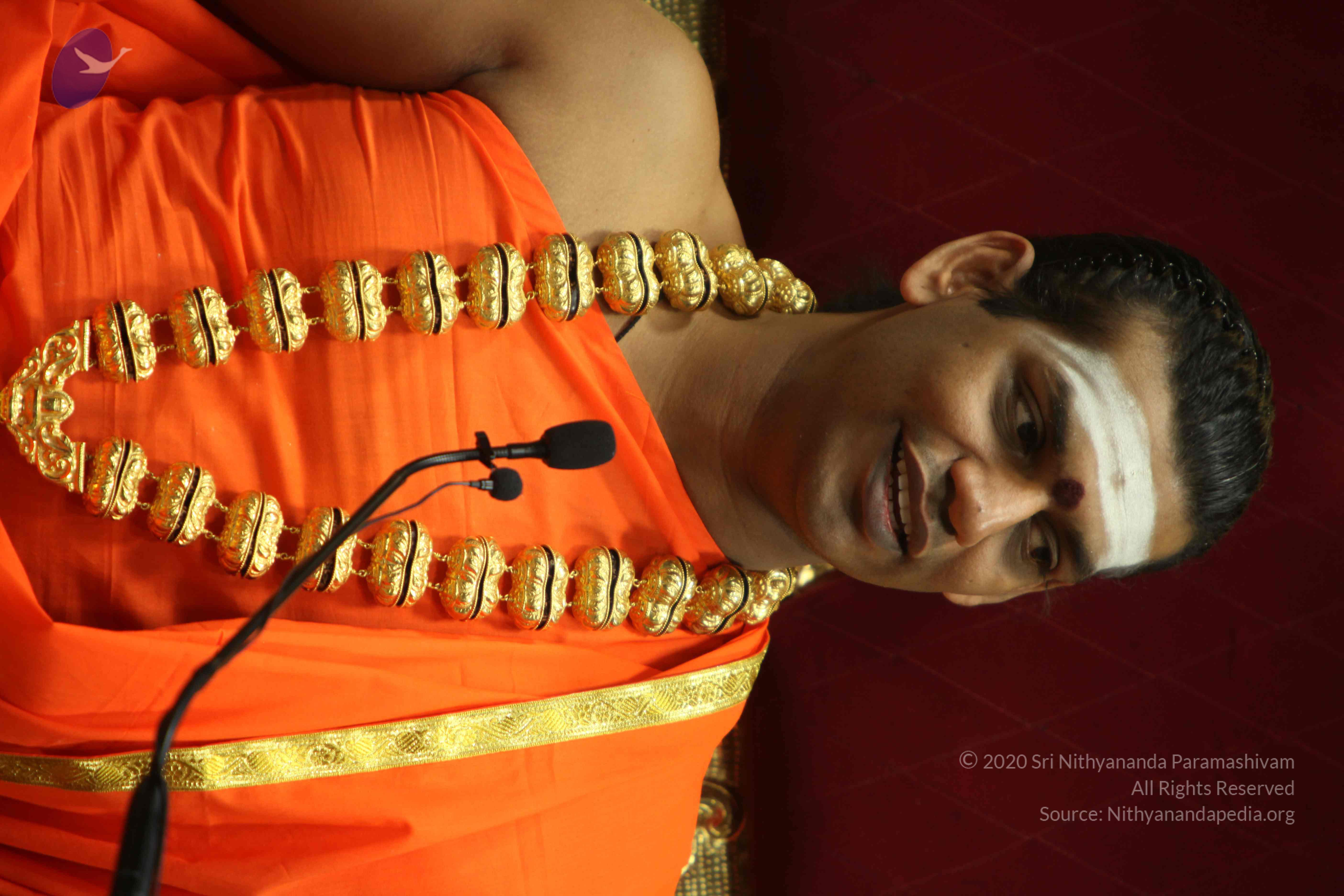 20110305_Photo_1111_IMG_7952_CMP_WM