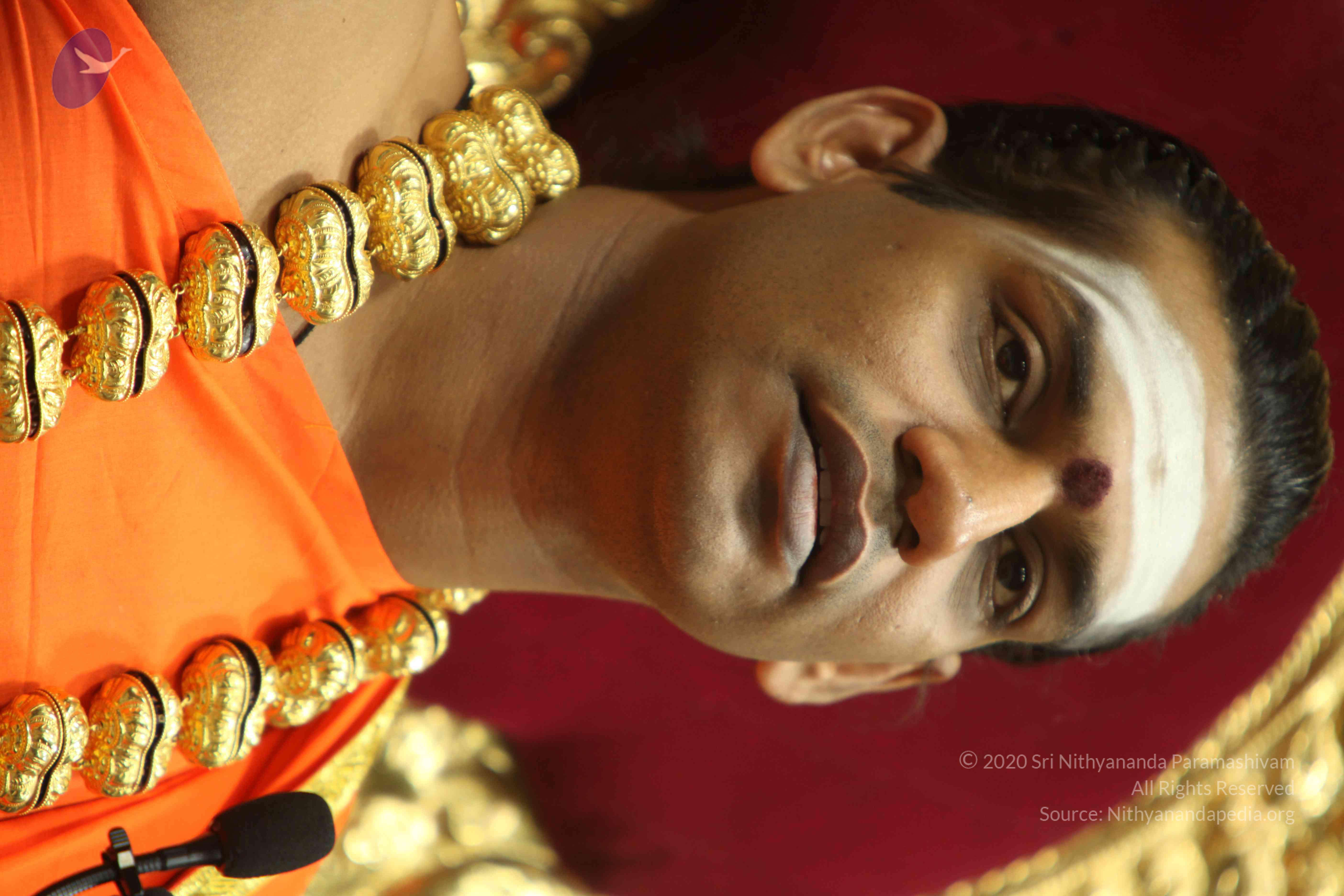 20110305_Photo_1113_IMG_8024_CMP_WM