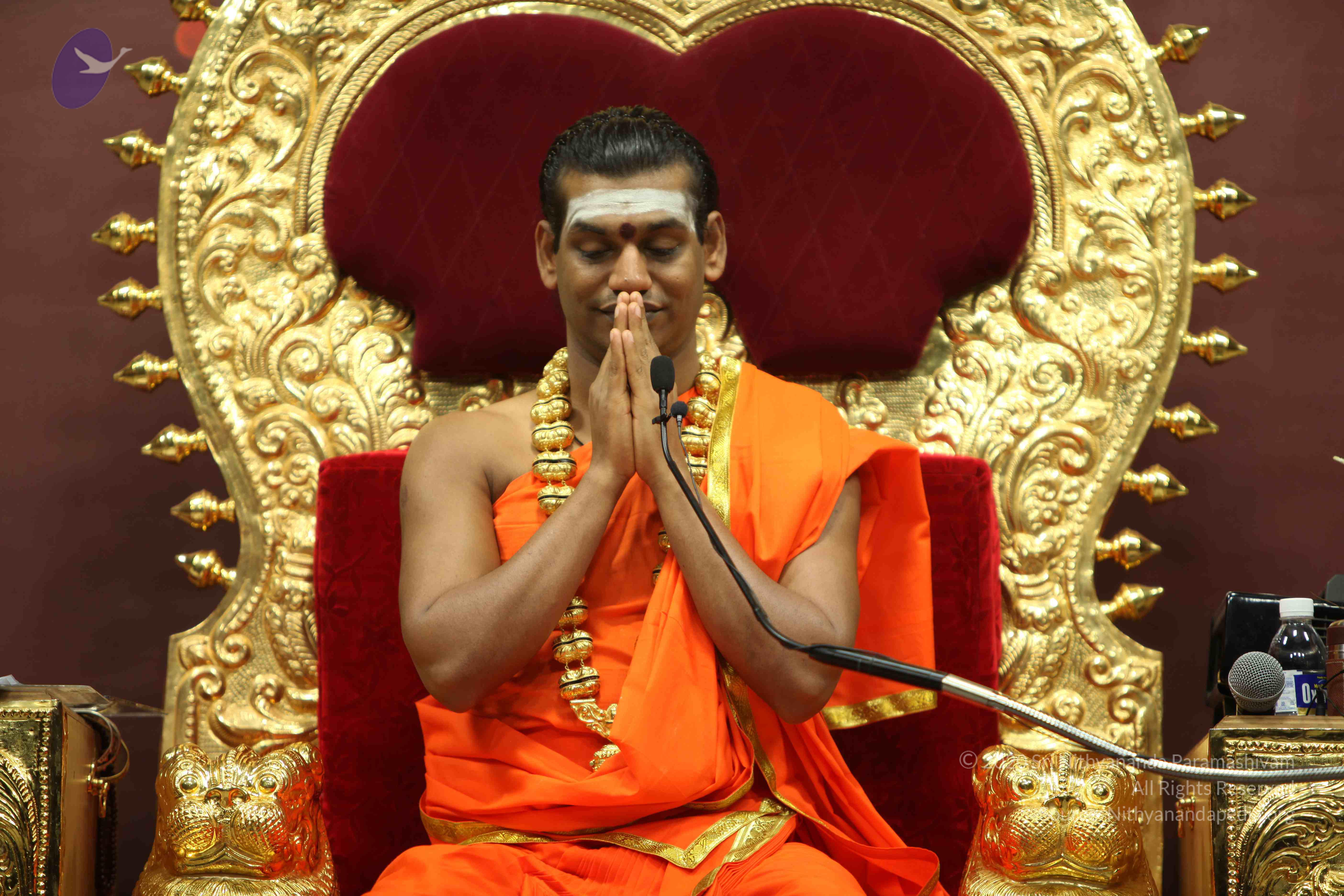 20110305_Photo_1116_IMG_8165_CMP_WM