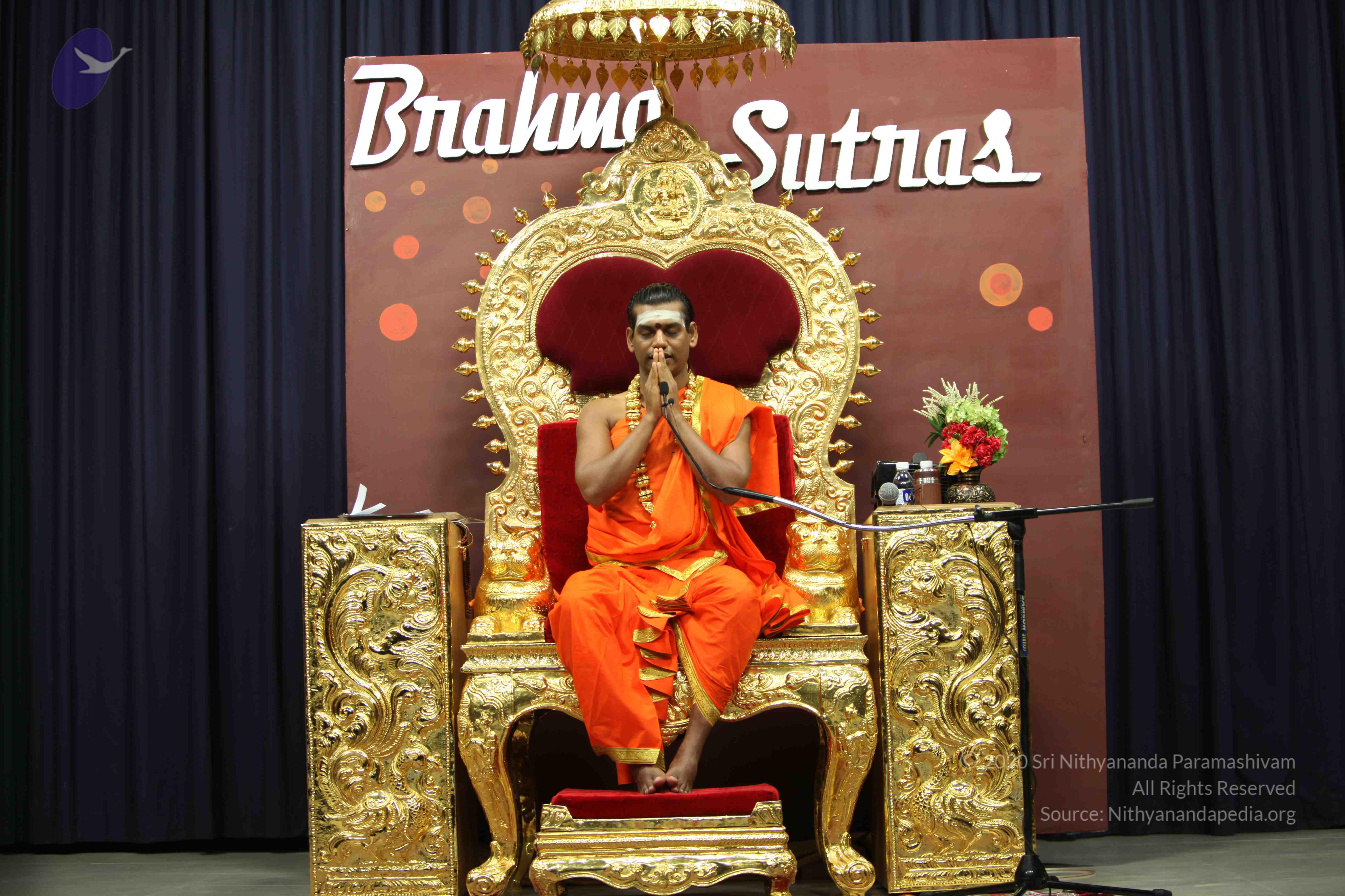 20110305_Photo_1117_IMG_8152_CMP_WM