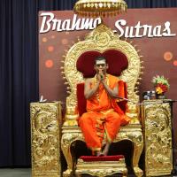 20110305_Photo_1117_IMG_8152_CMP_WM