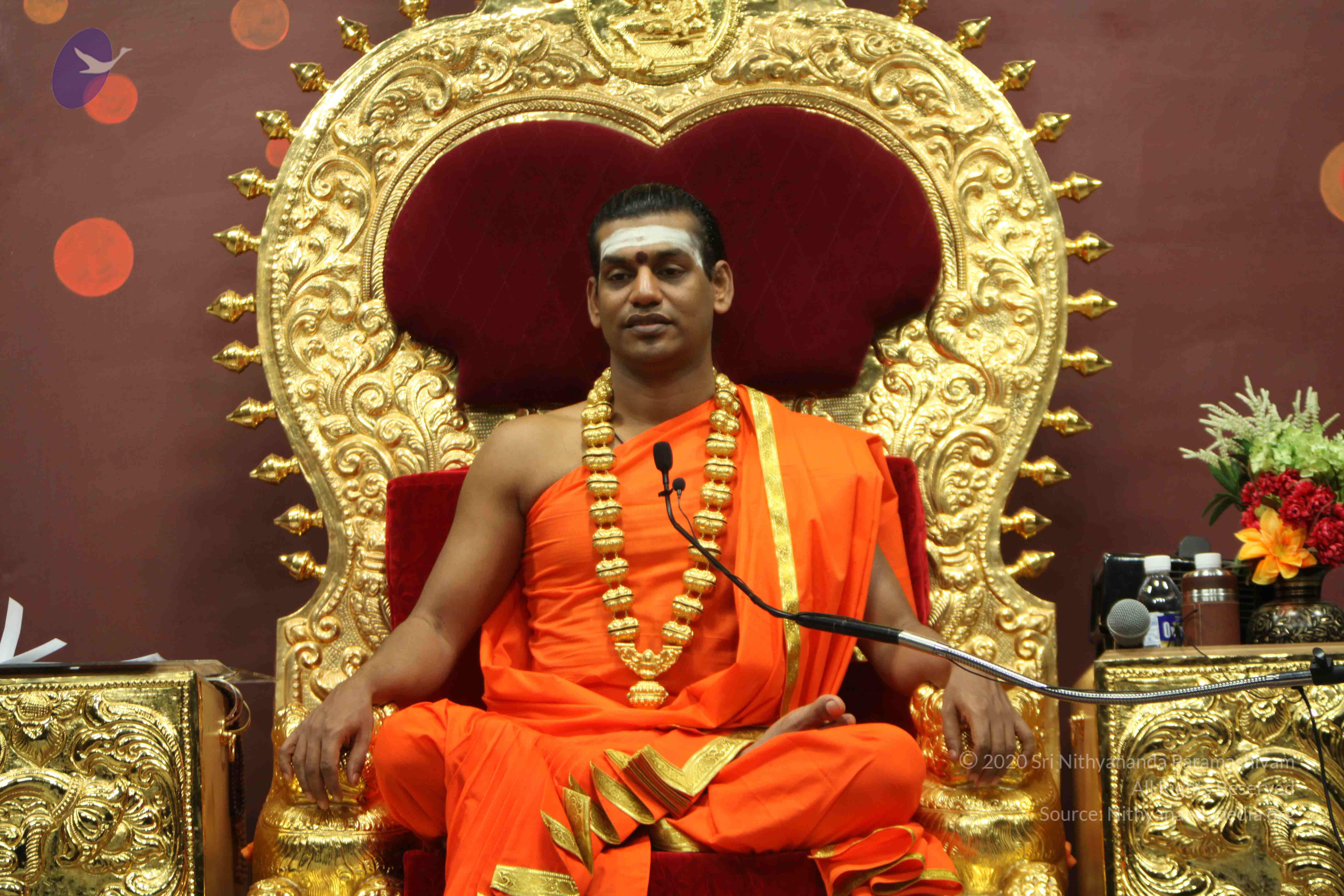 20110305_Photo_1118_IMG_7930_CMP_WM