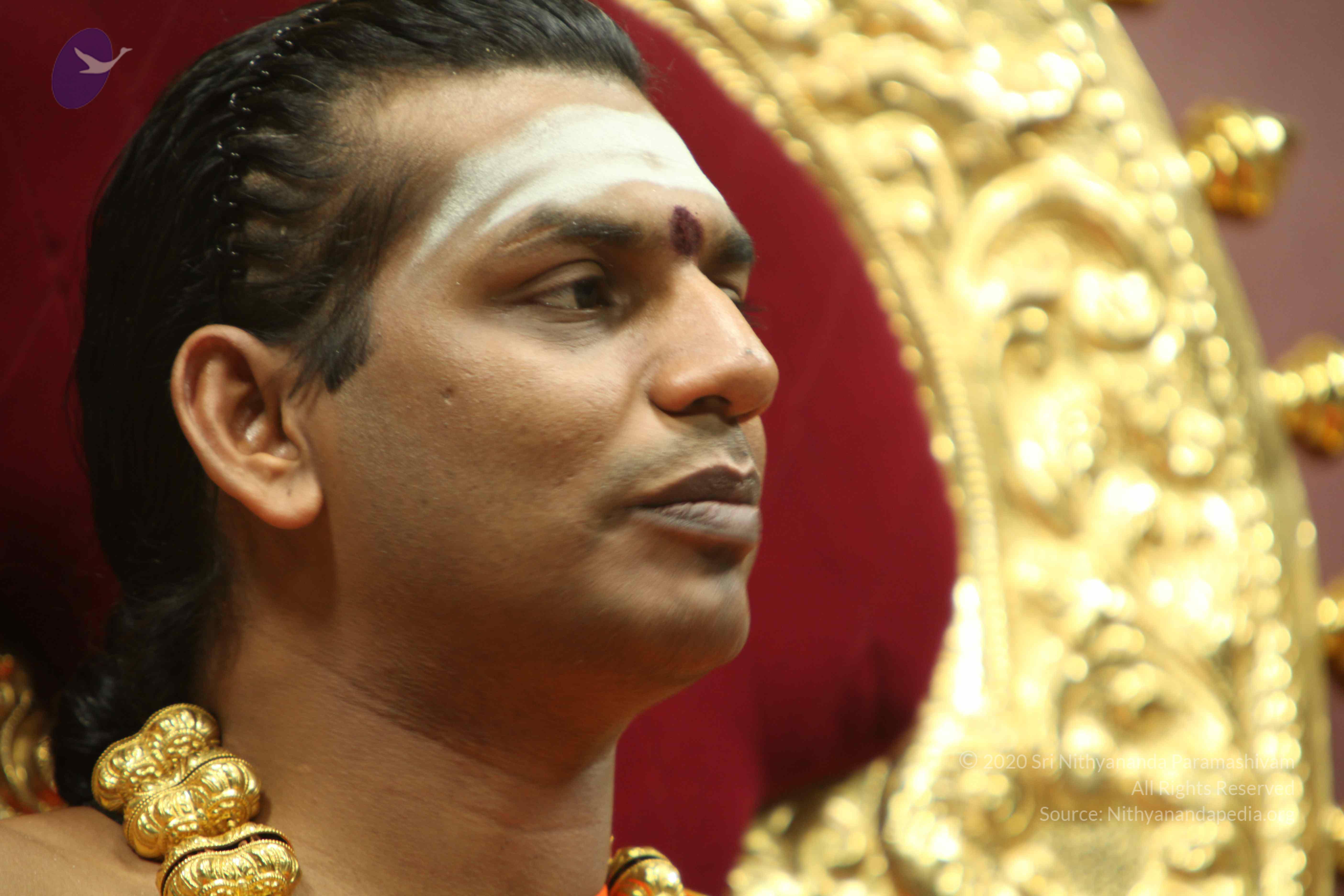 20110305_Photo_1132_IMG_8036_CMP_WM