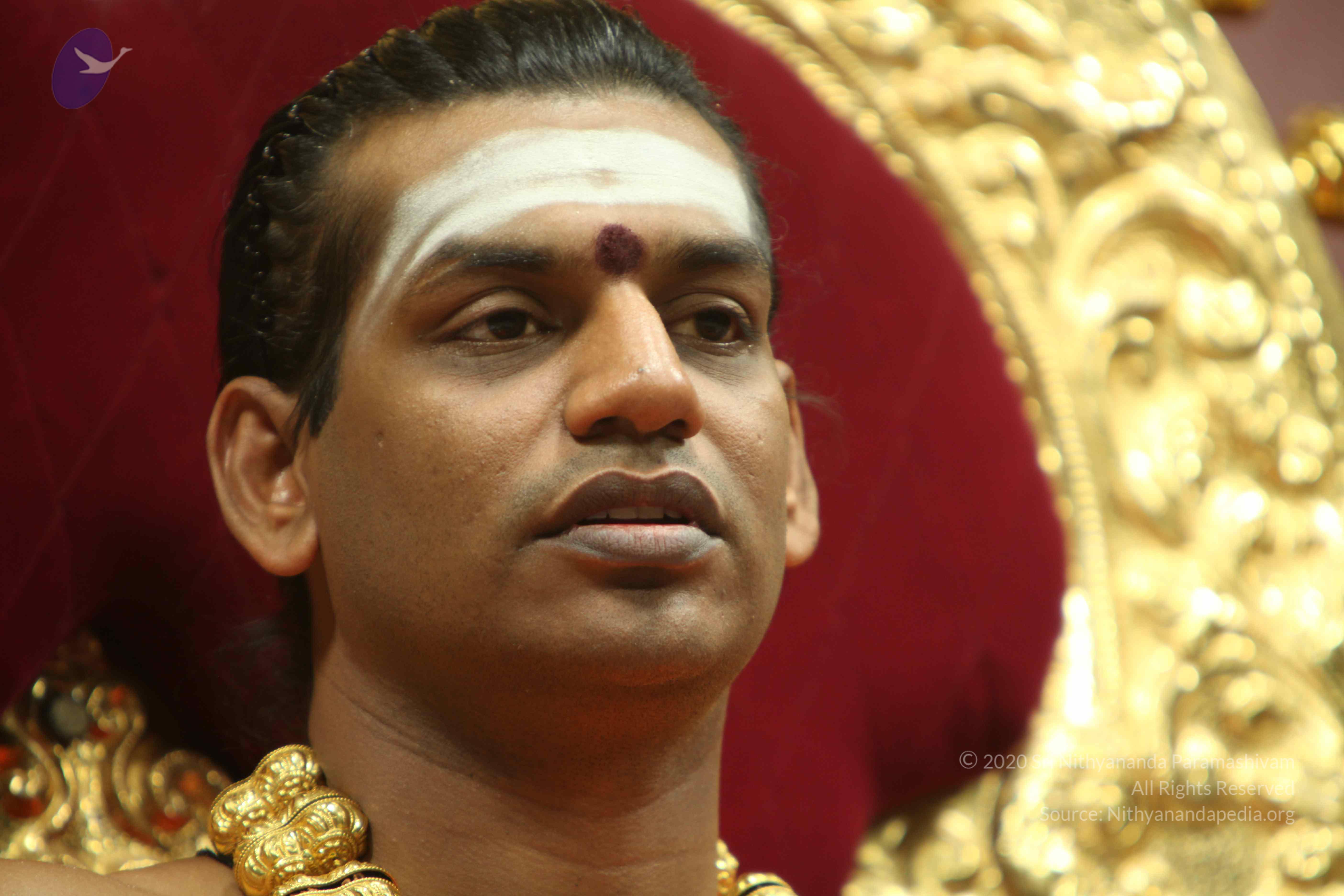 20110305_Photo_1138_IMG_8048_CMP_WM