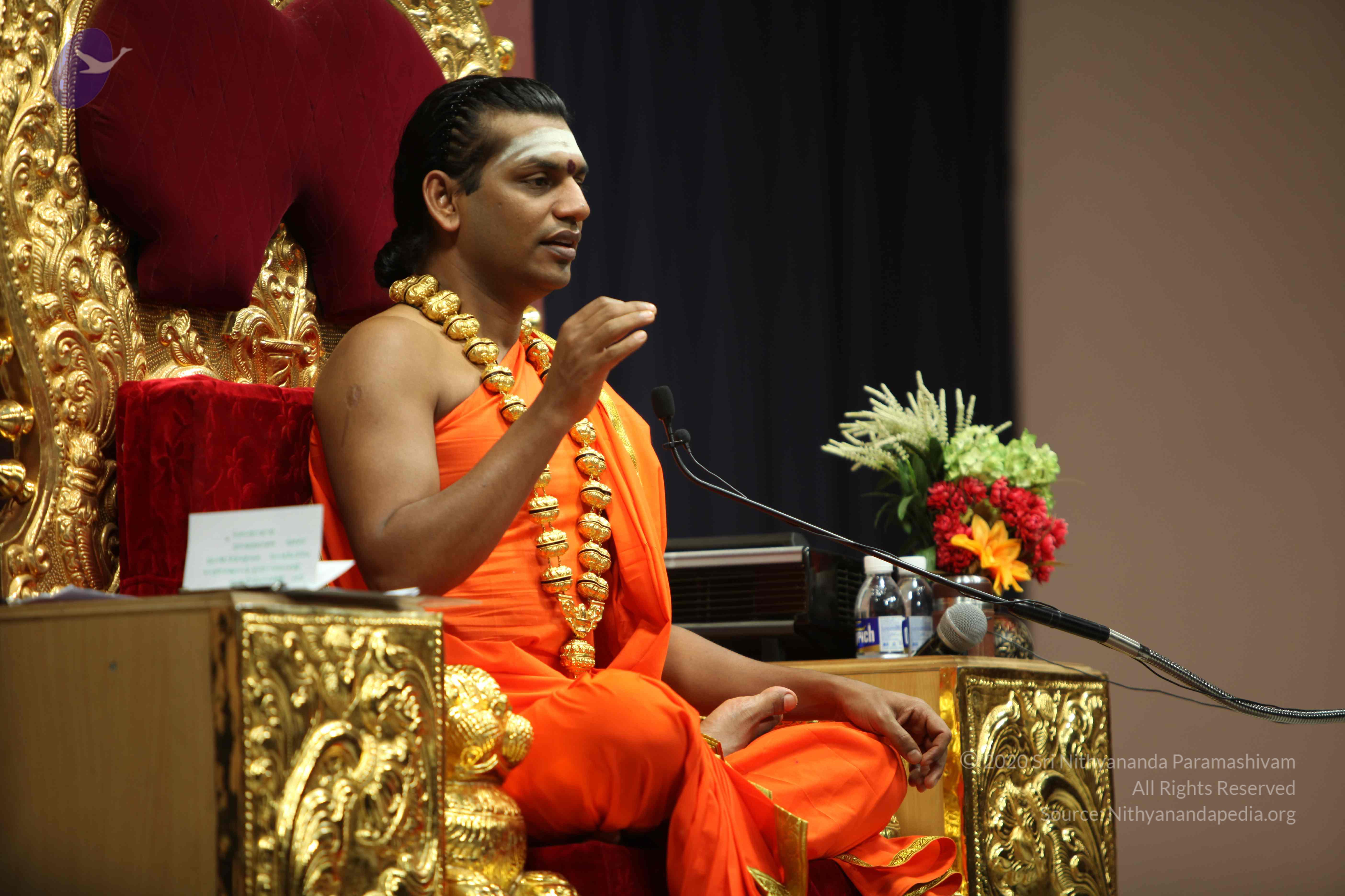 20110305_Photo_1141_IMG_7848_CMP_WM