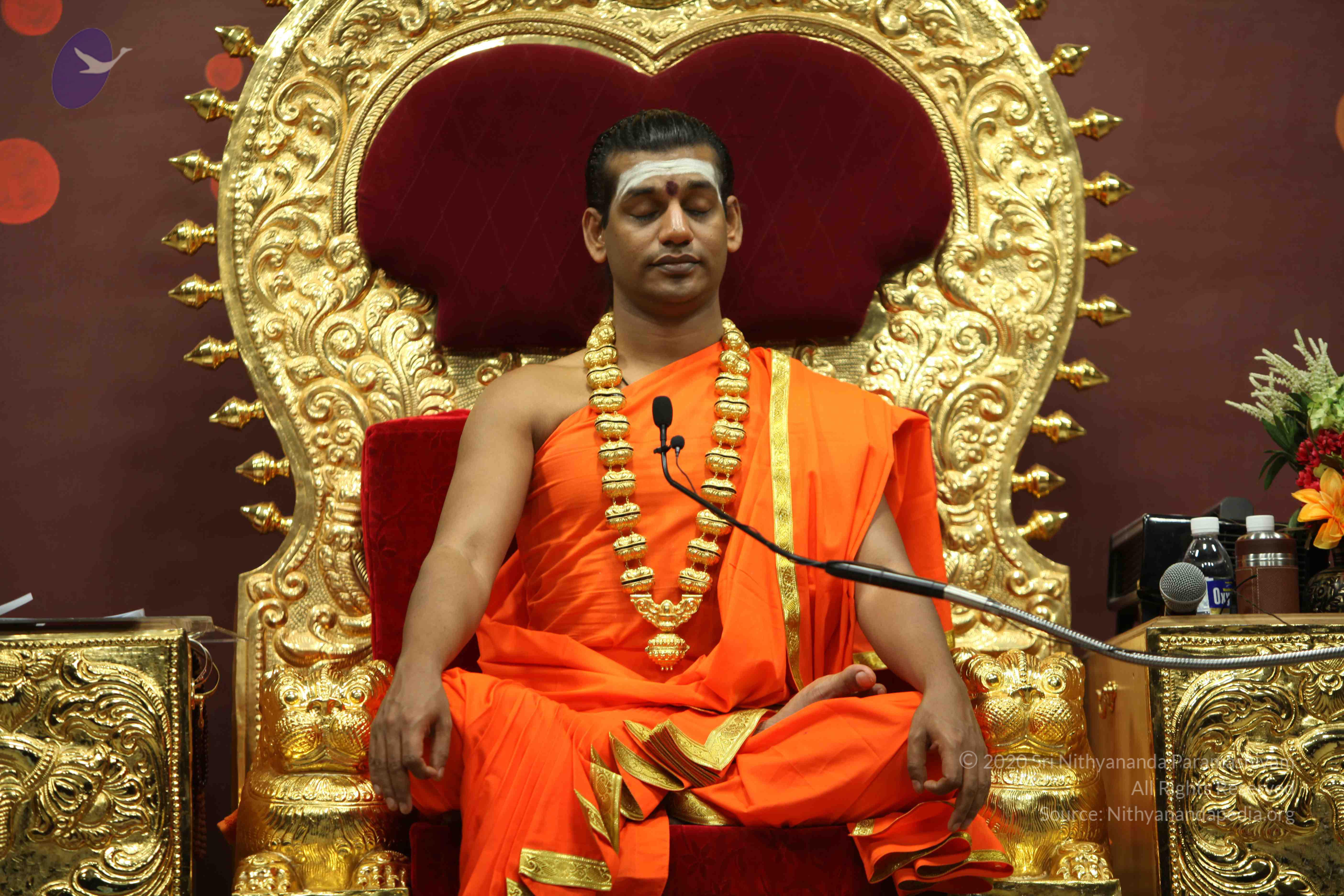 20110305_Photo_1143_IMG_8080_CMP_WM