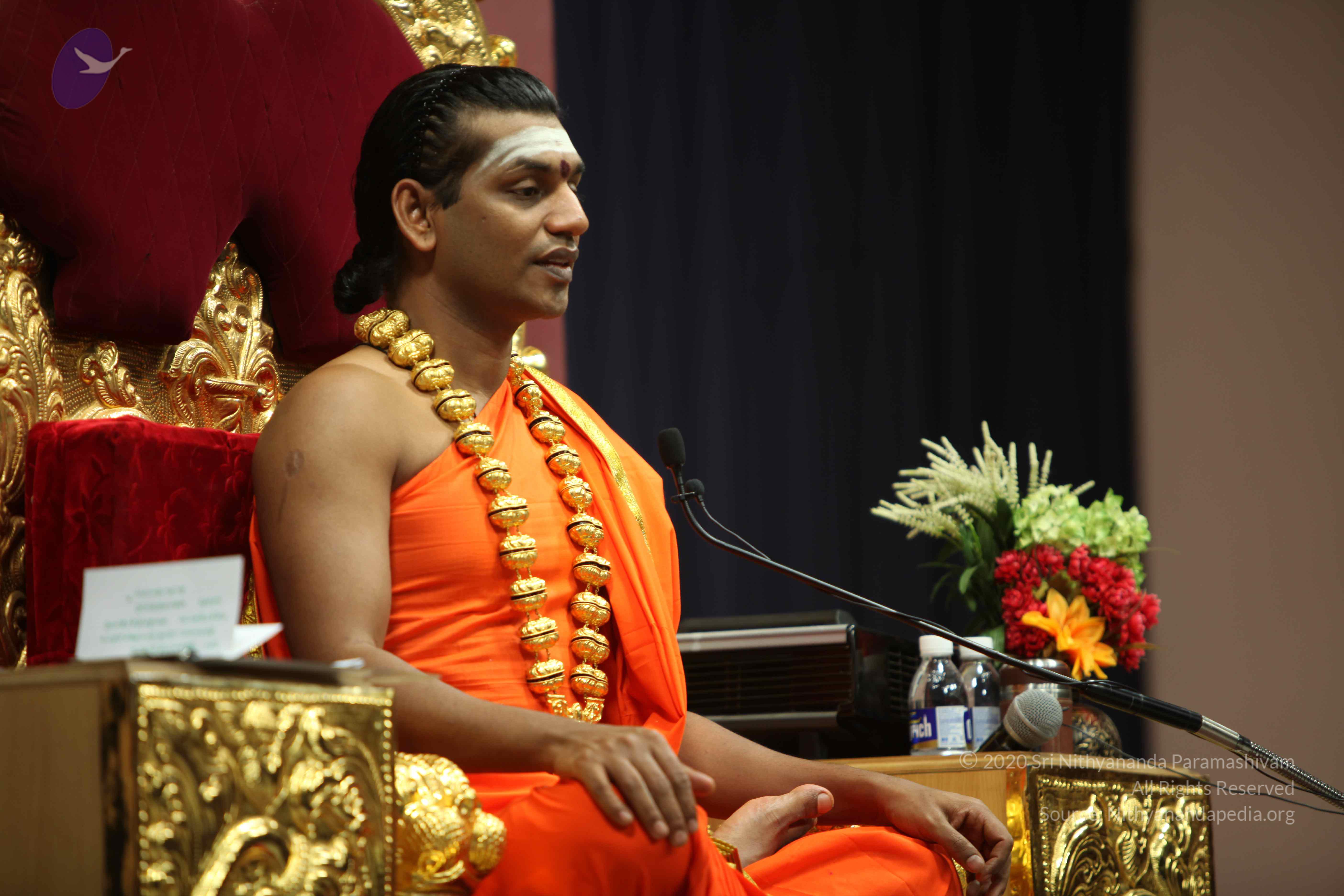 20110305_Photo_1147_IMG_7859_CMP_WM