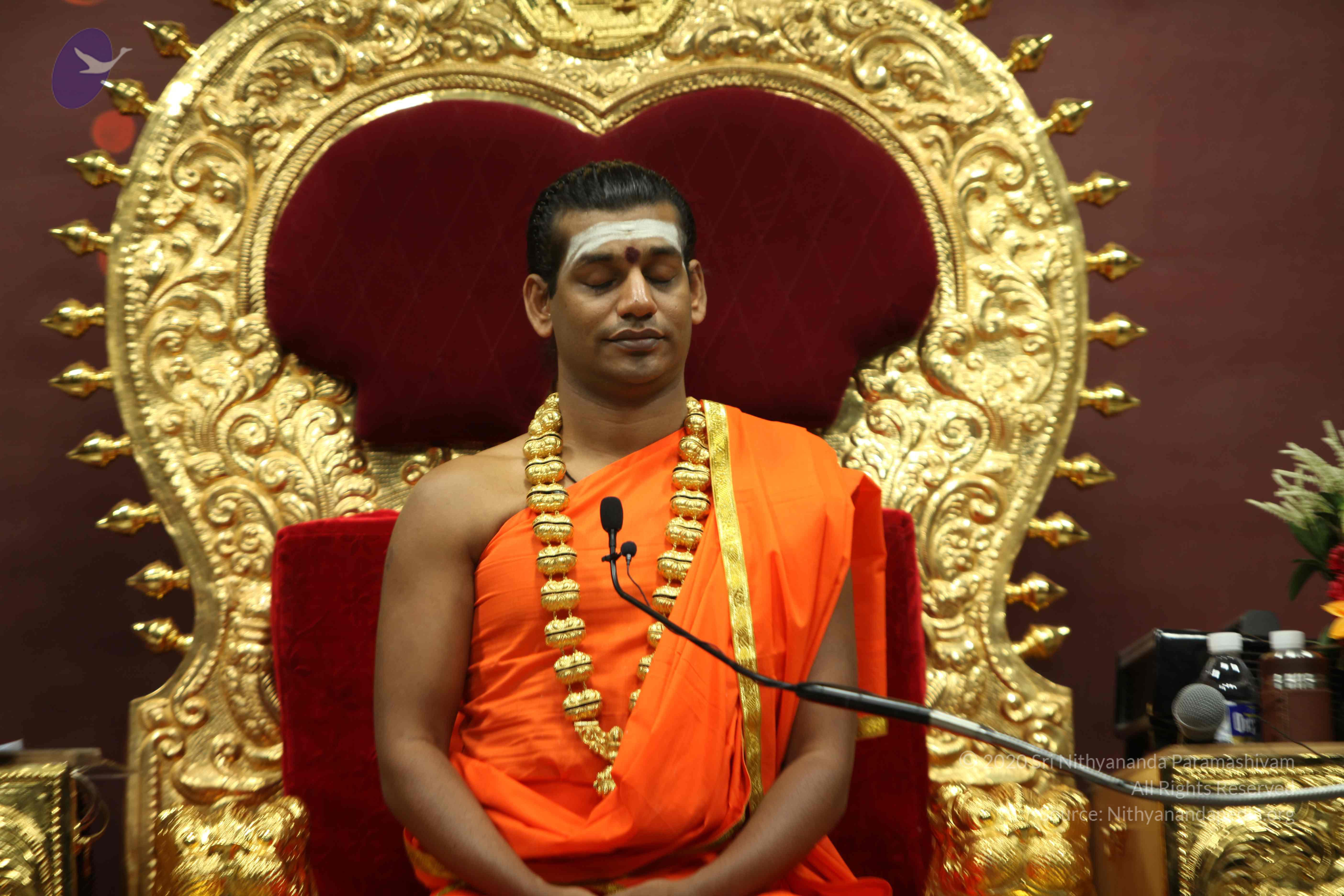 20110305_Photo_1153_IMG_8104_CMP_WM