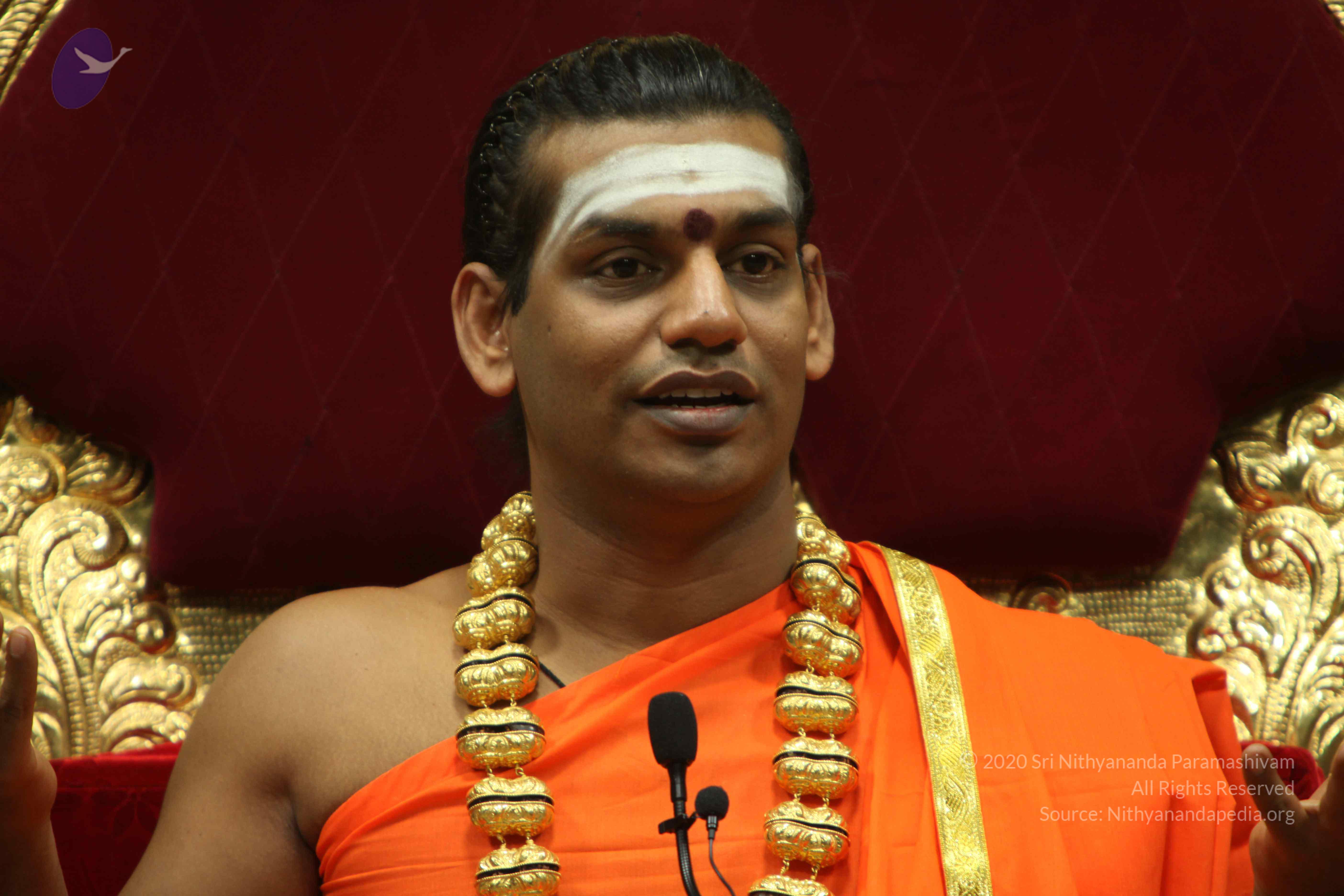 20110305_Photo_1154_IMG_7966_CMP_WM