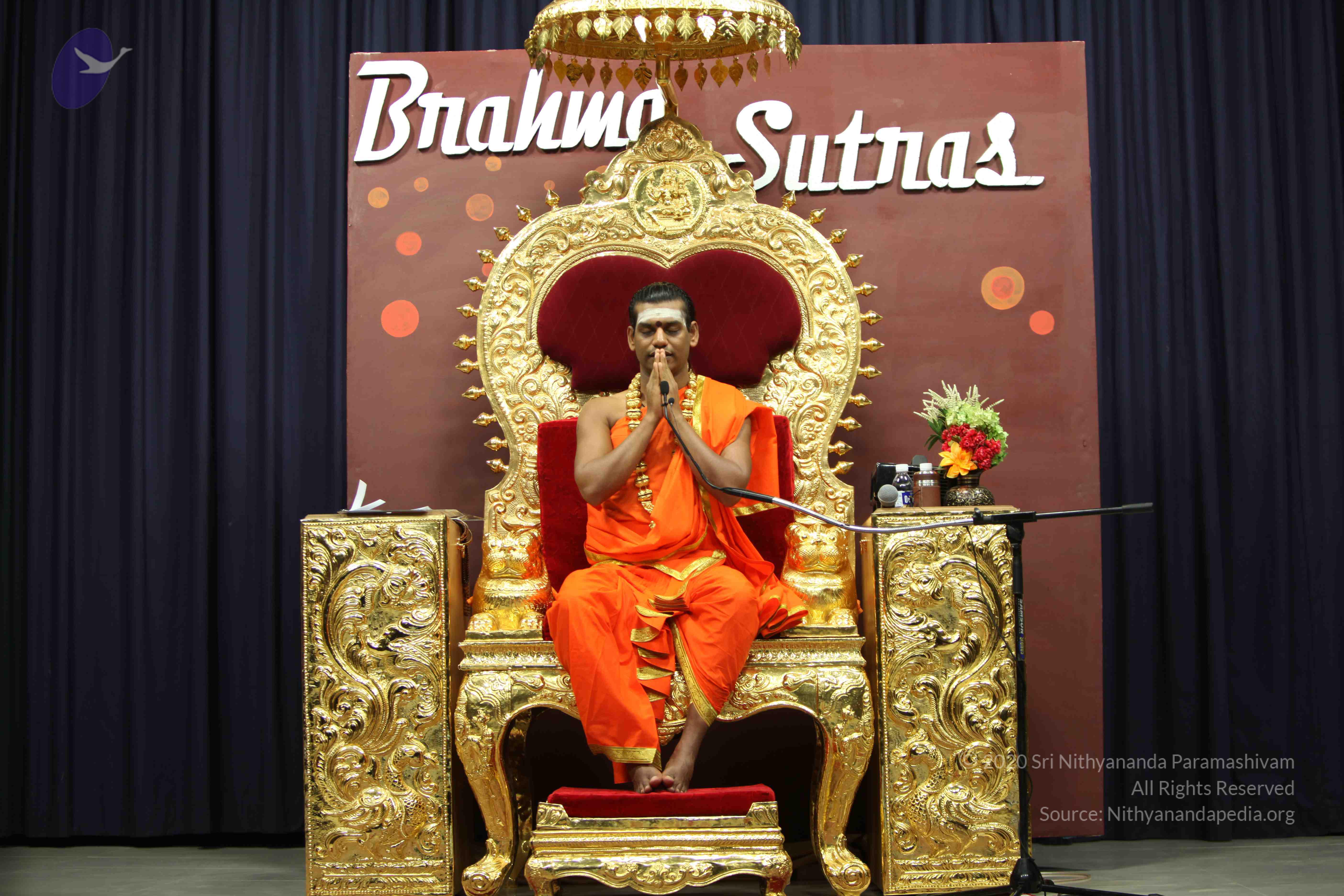 20110305_Photo_1157_IMG_8151_CMP_WM