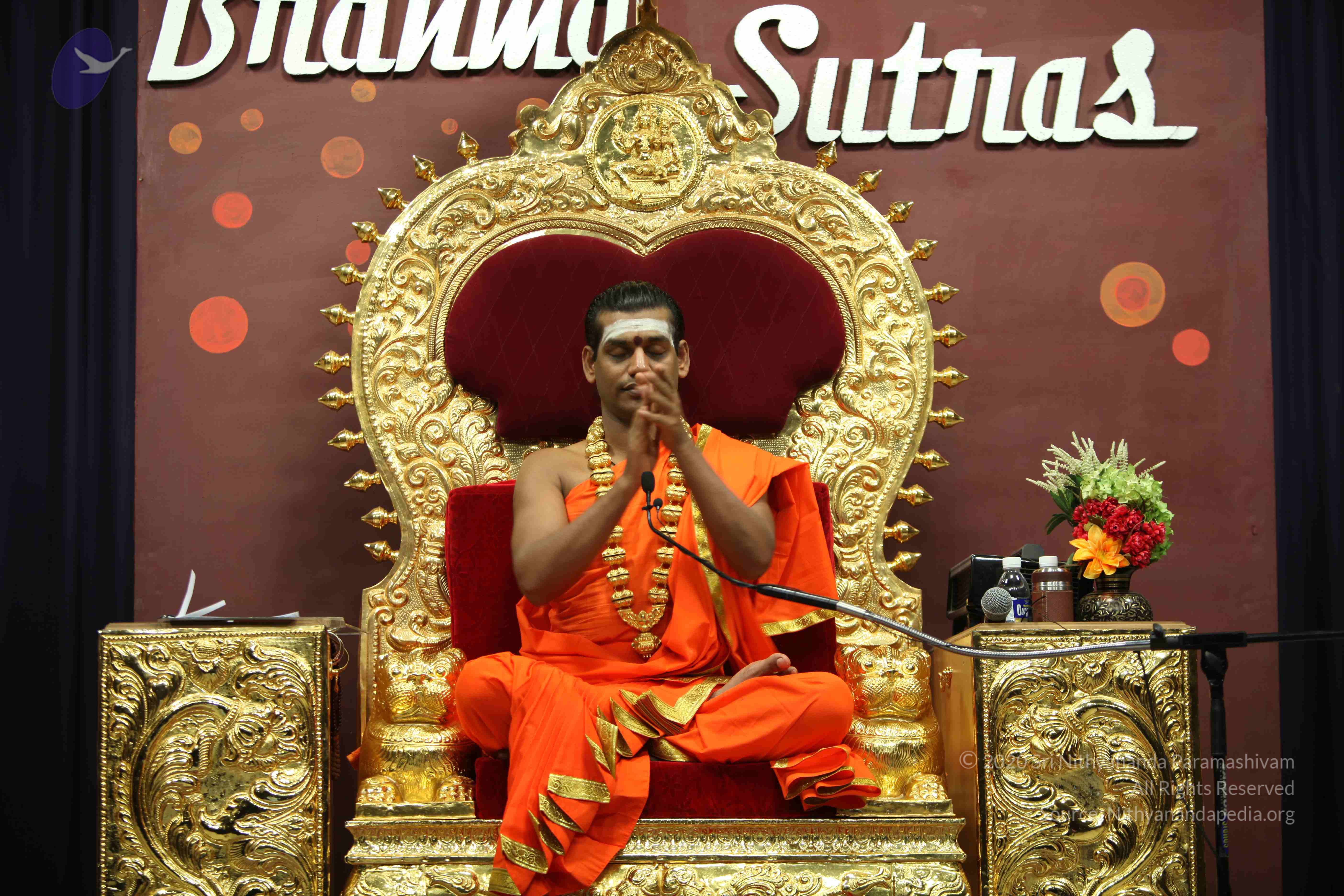 20110305_Photo_1161_IMG_8072_CMP_WM