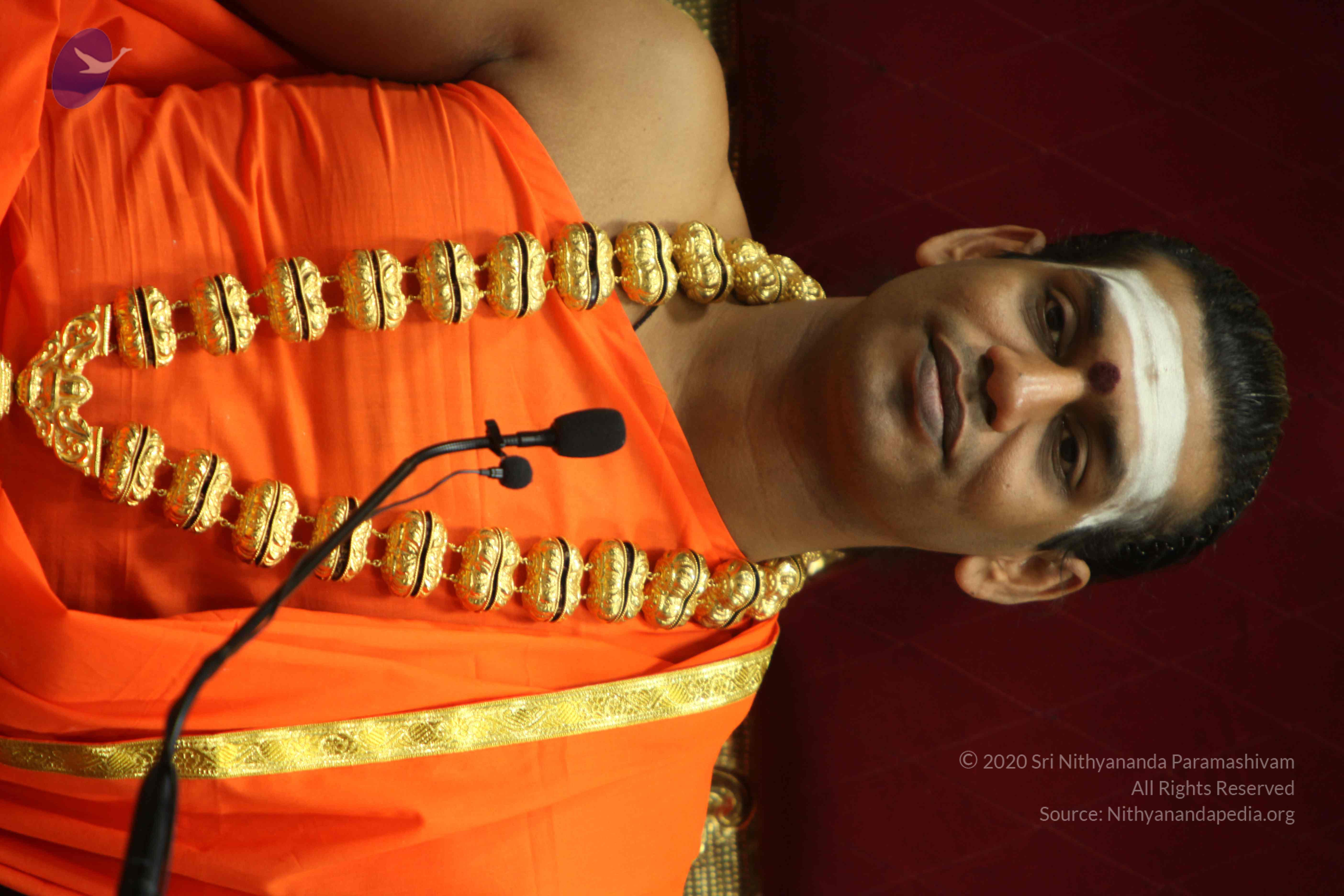 20110305_Photo_1163_IMG_7948_CMP_WM