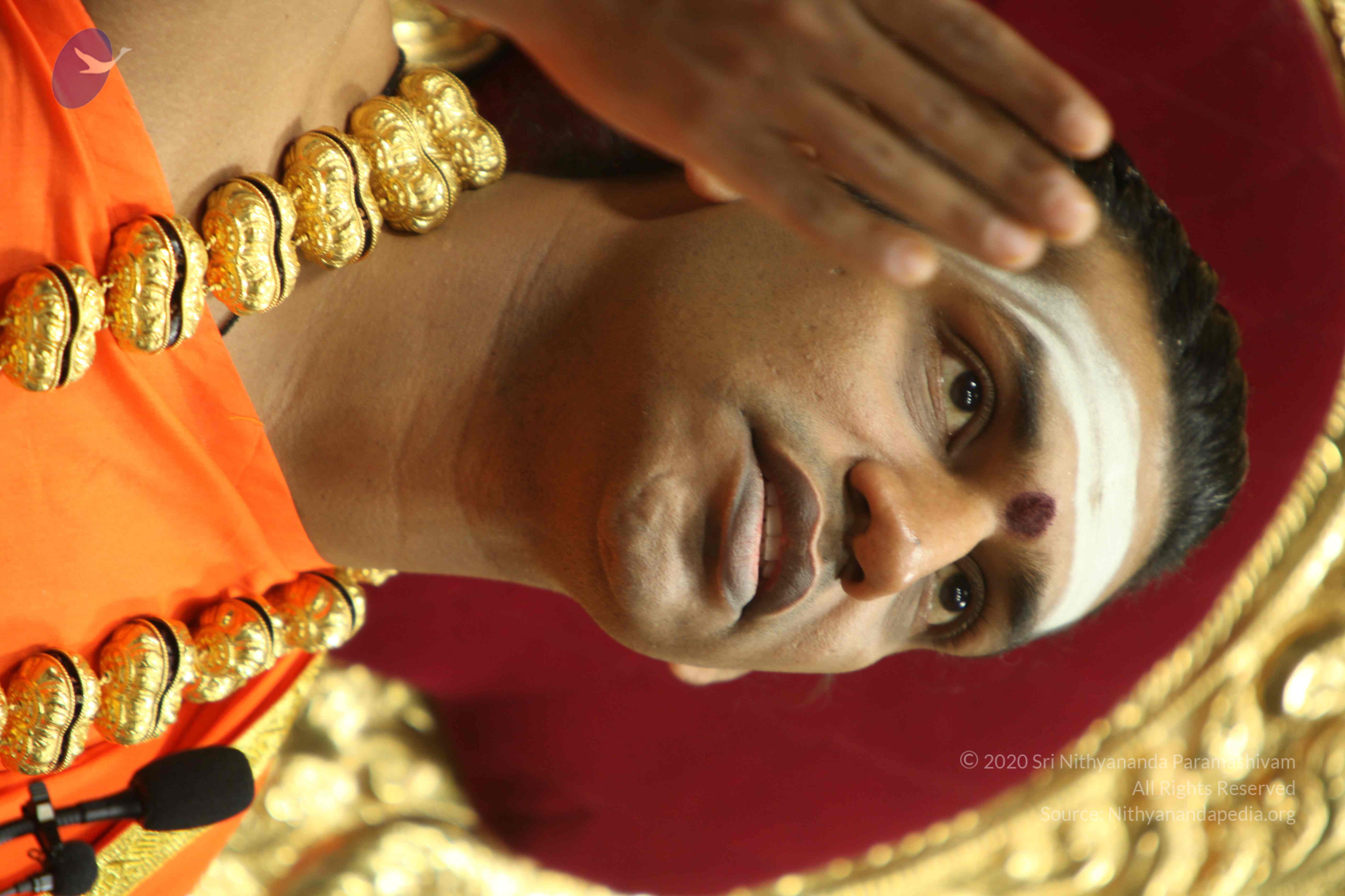 20110305_Photo_1168_IMG_8015_CMP_WM