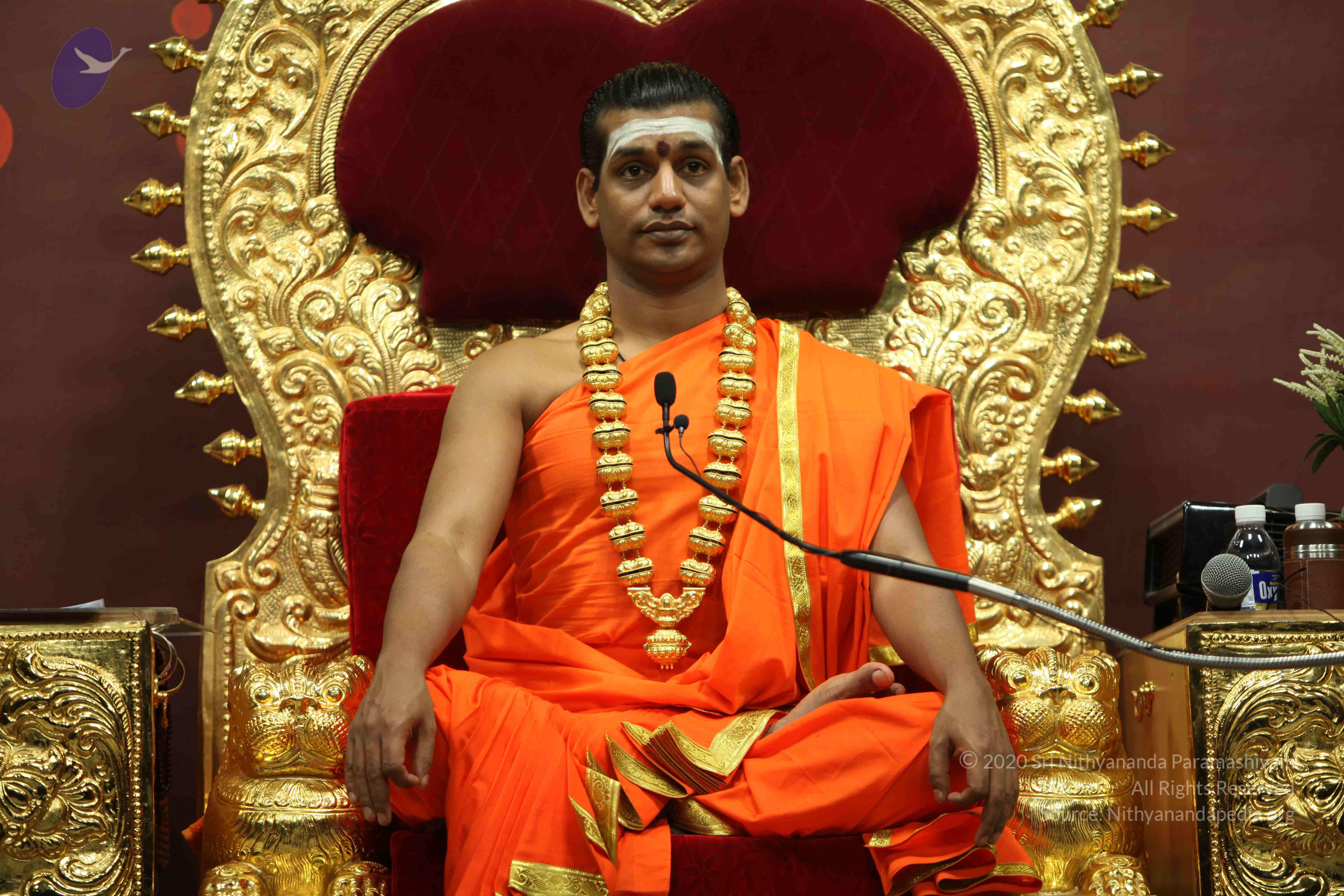 20110305_Photo_1172_IMG_8077_CMP_WM