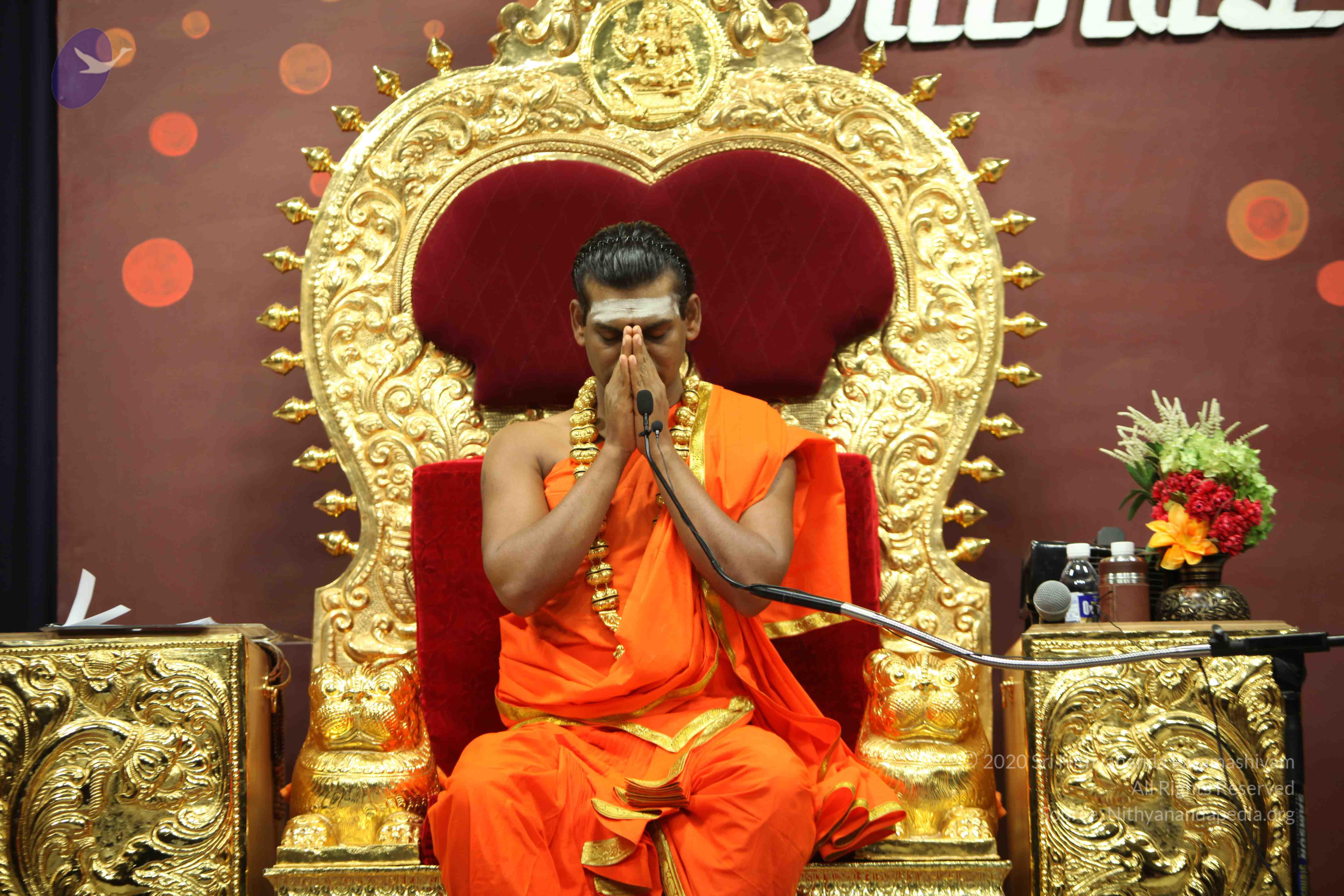 20110305_Photo_1176_IMG_8154_CMP_WM