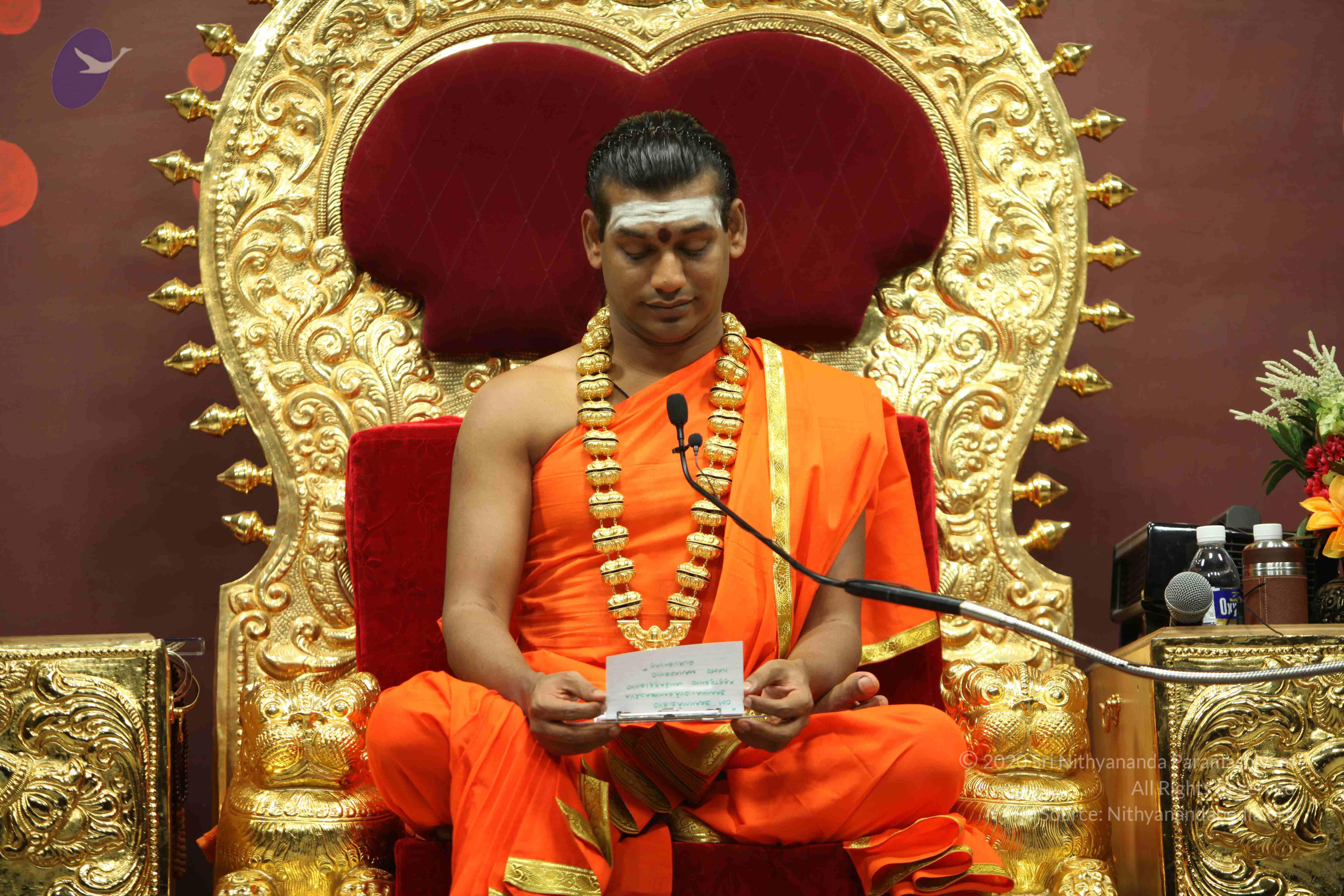 20110305_Photo_1185_IMG_7804_CMP_WM