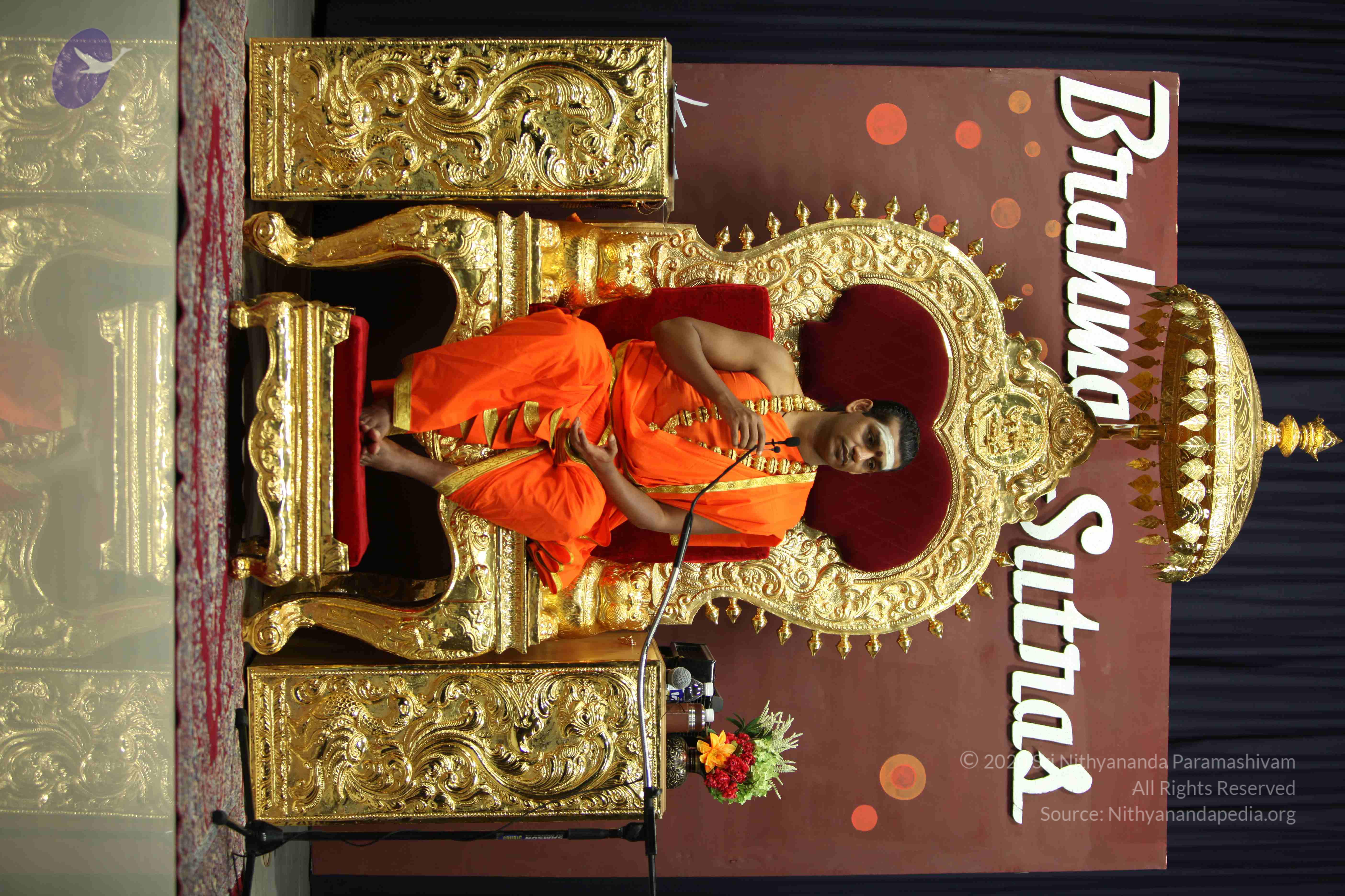 20110305_Photo_1210_IMG_8117_CMP_WM