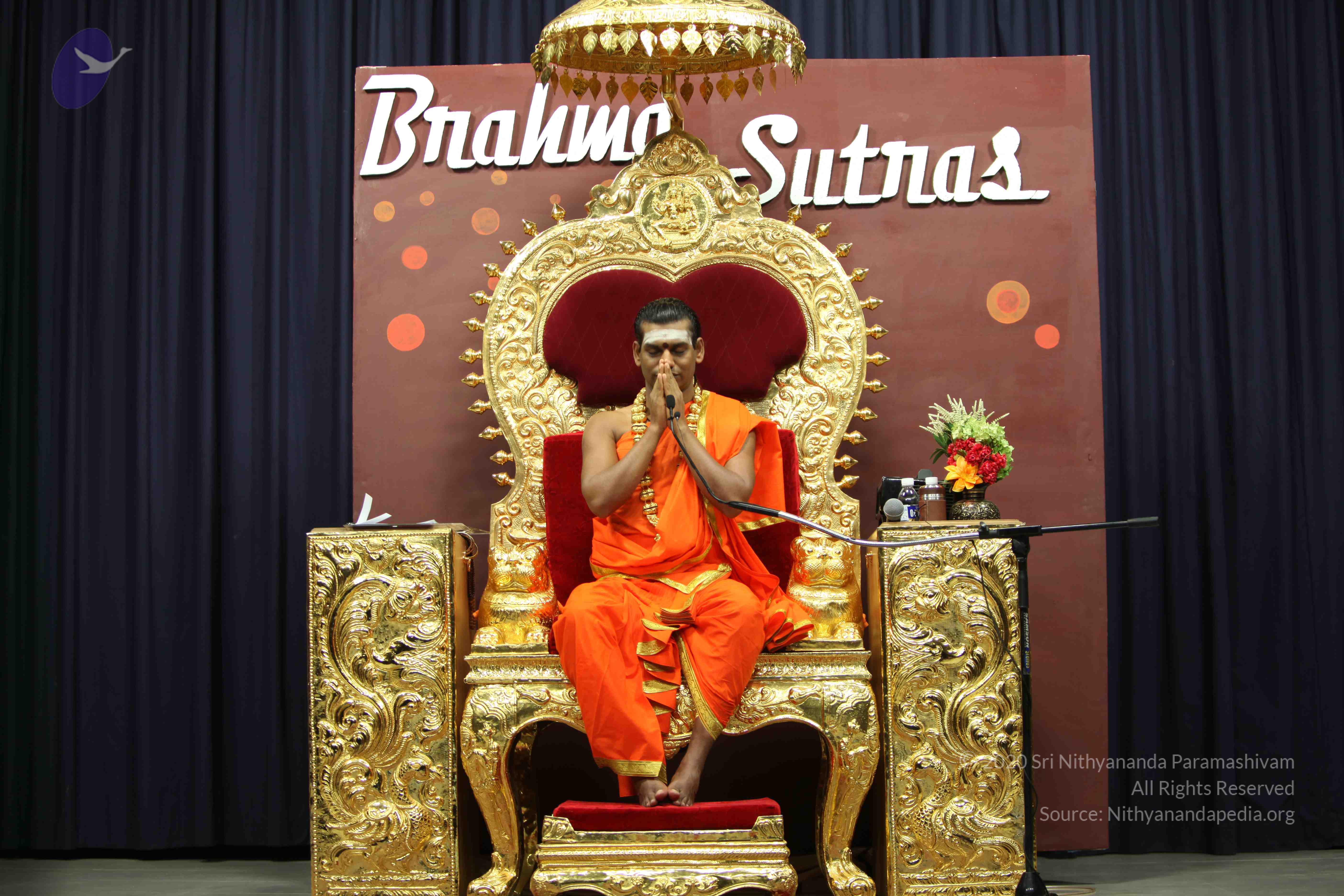 20110305_Photo_1219_IMG_8153_CMP_WM