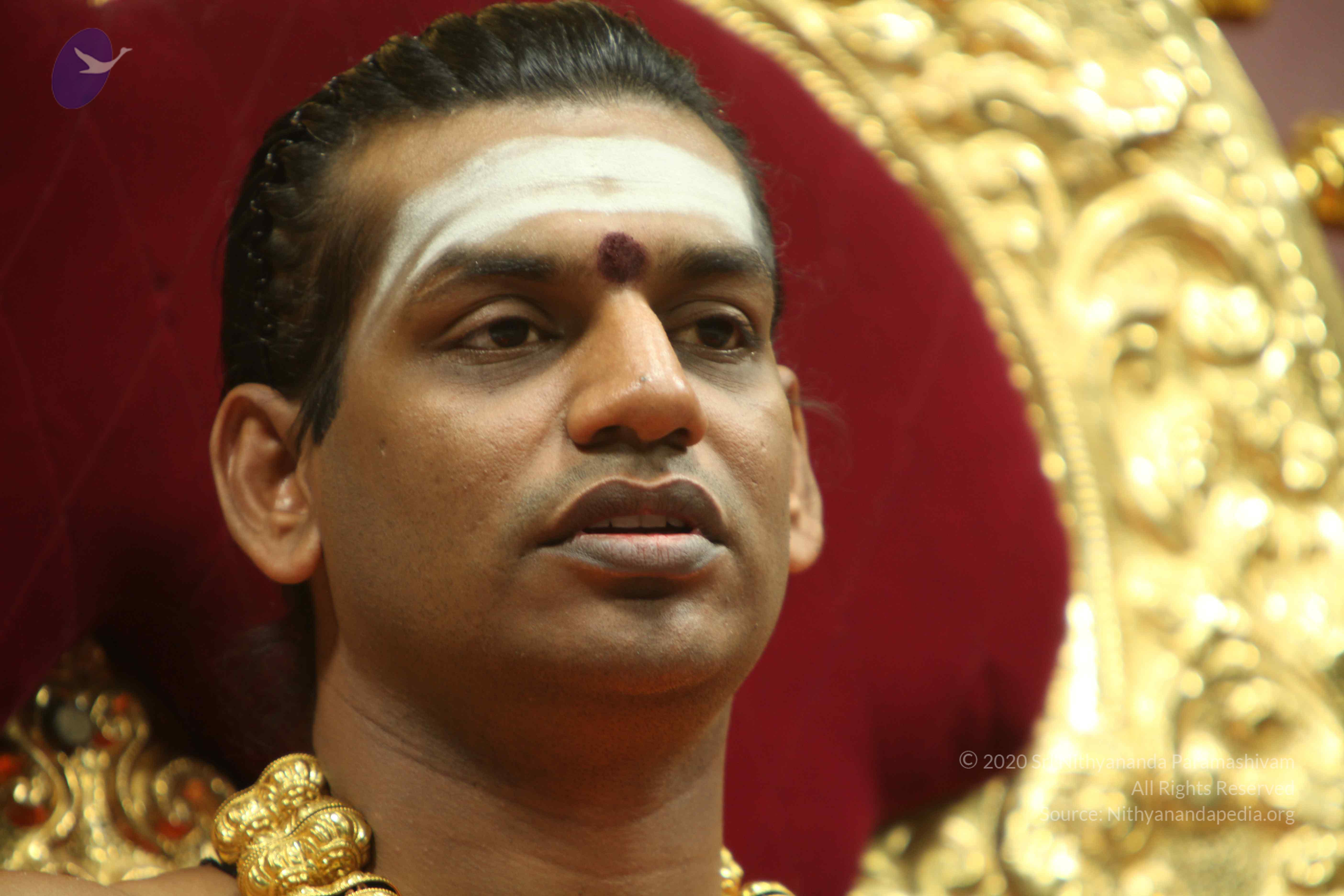 20110305_Photo_1222_IMG_8047_CMP_WM