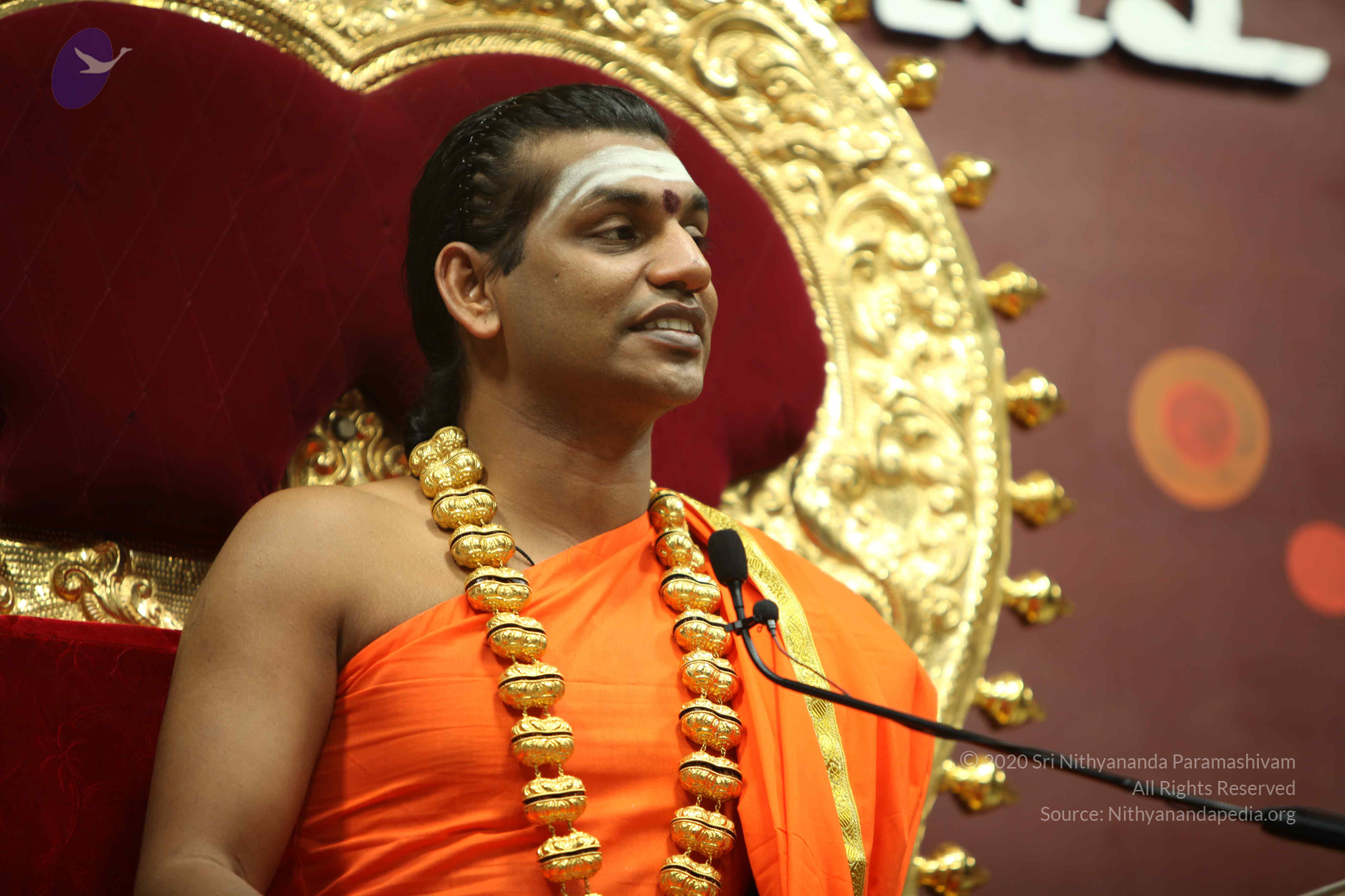 20110305_Photo_1223_IMG_7825_CMP_WM