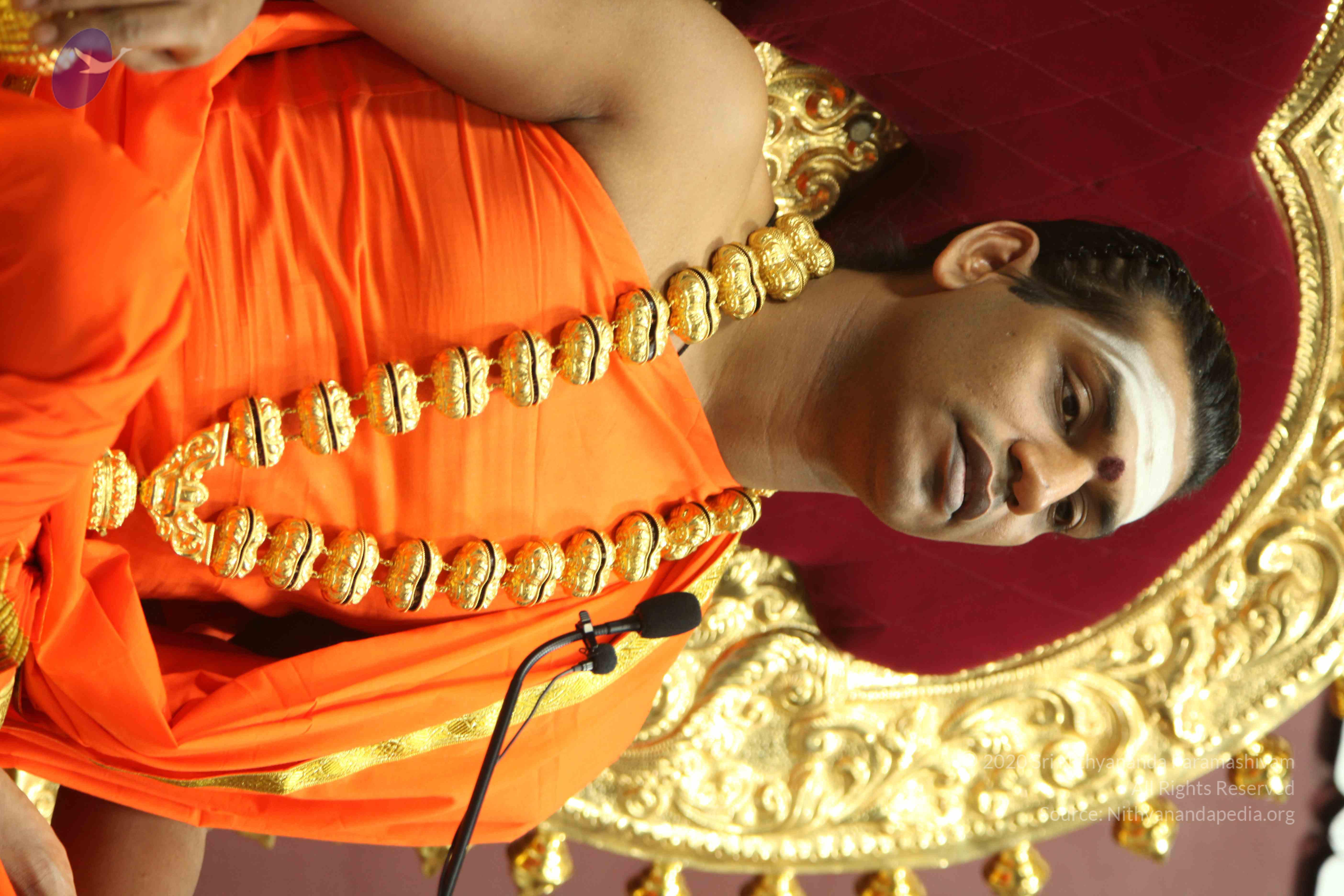 20110305_Photo_1229_IMG_8017_CMP_WM