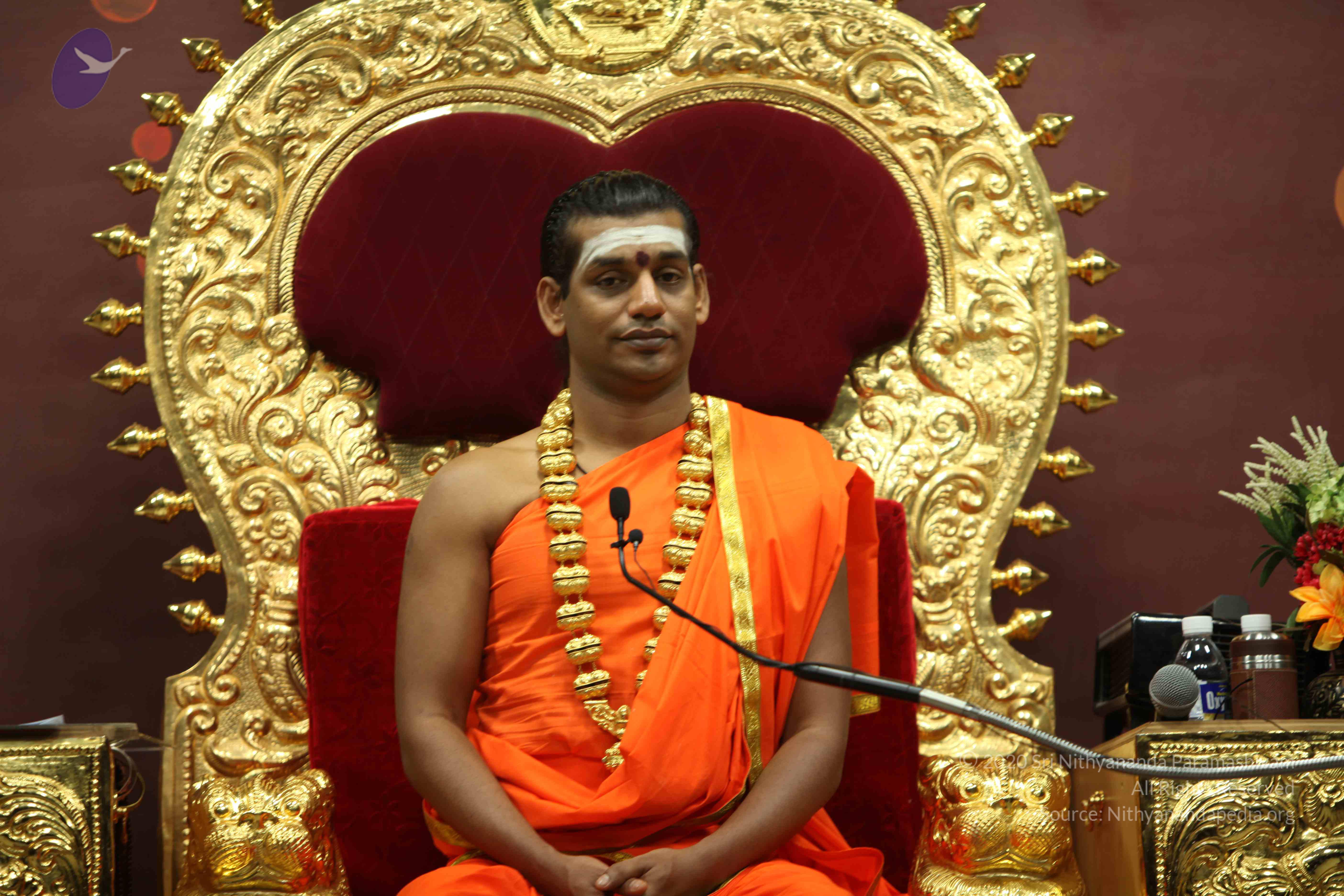 20110305_Photo_1232_IMG_8103_CMP_WM