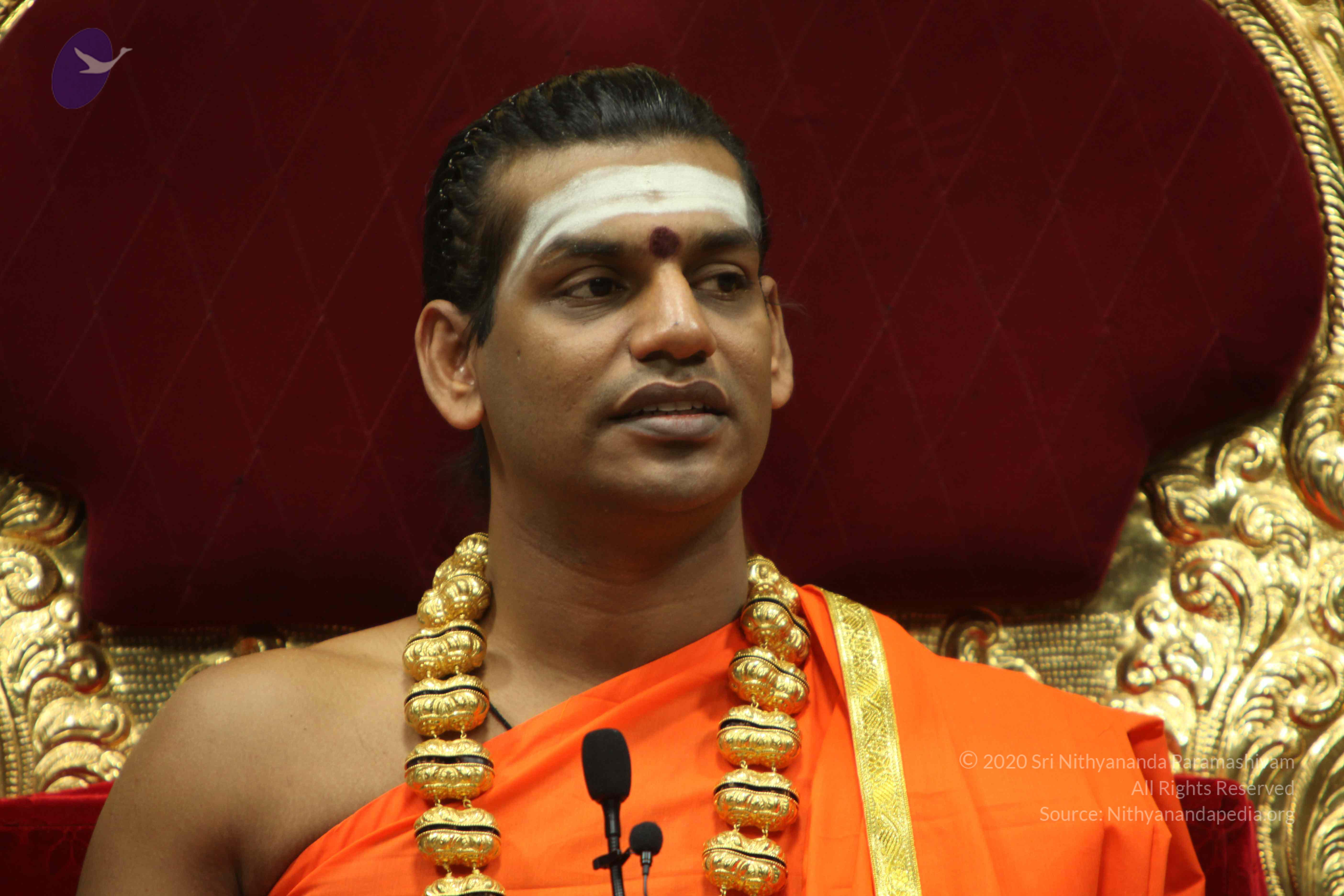 20110305_Photo_1235_IMG_7934_CMP_WM