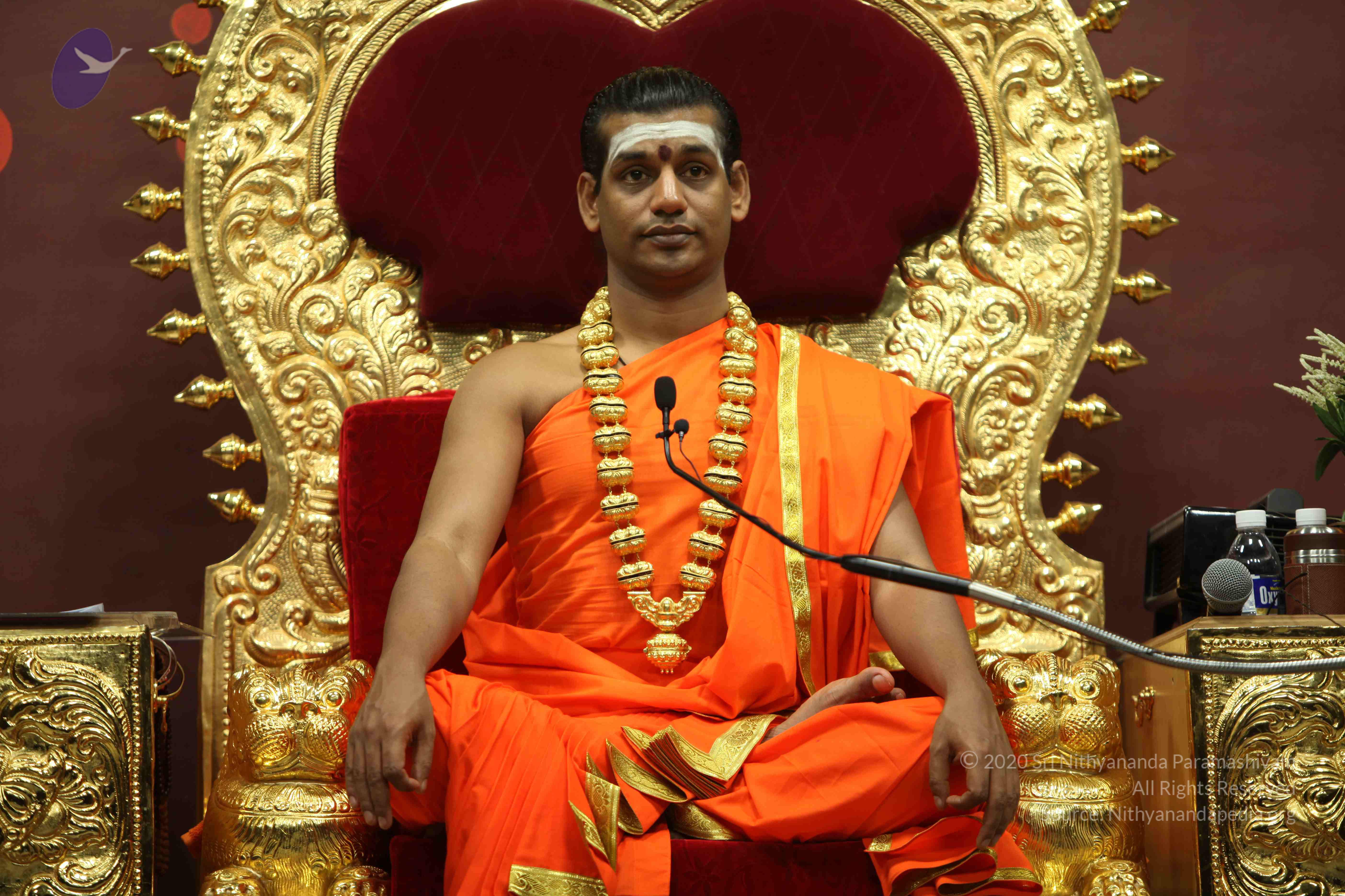 20110305_Photo_1242_IMG_8078_CMP_WM