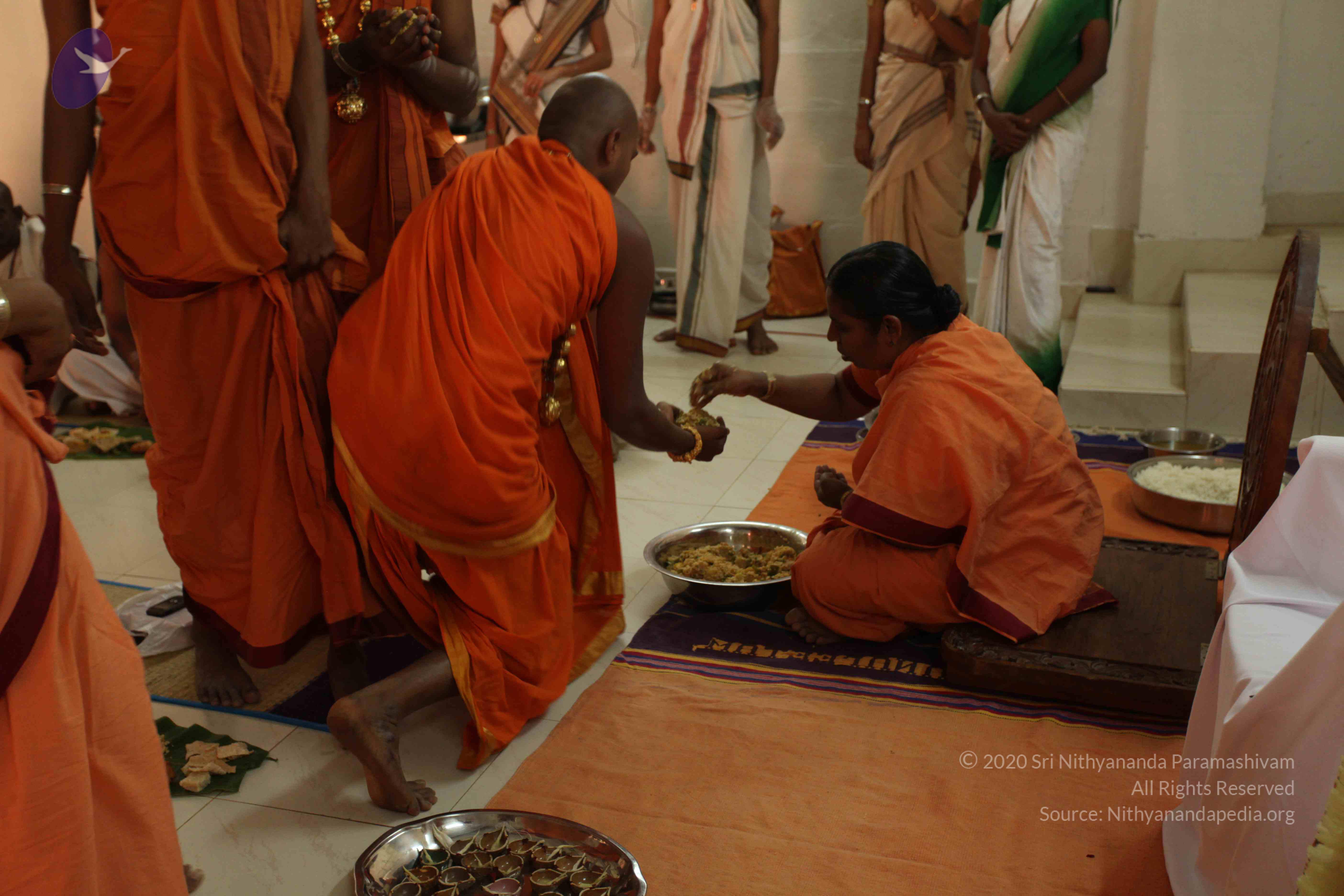 20110305_Photo_1000_IMG_7710_CMP_WM