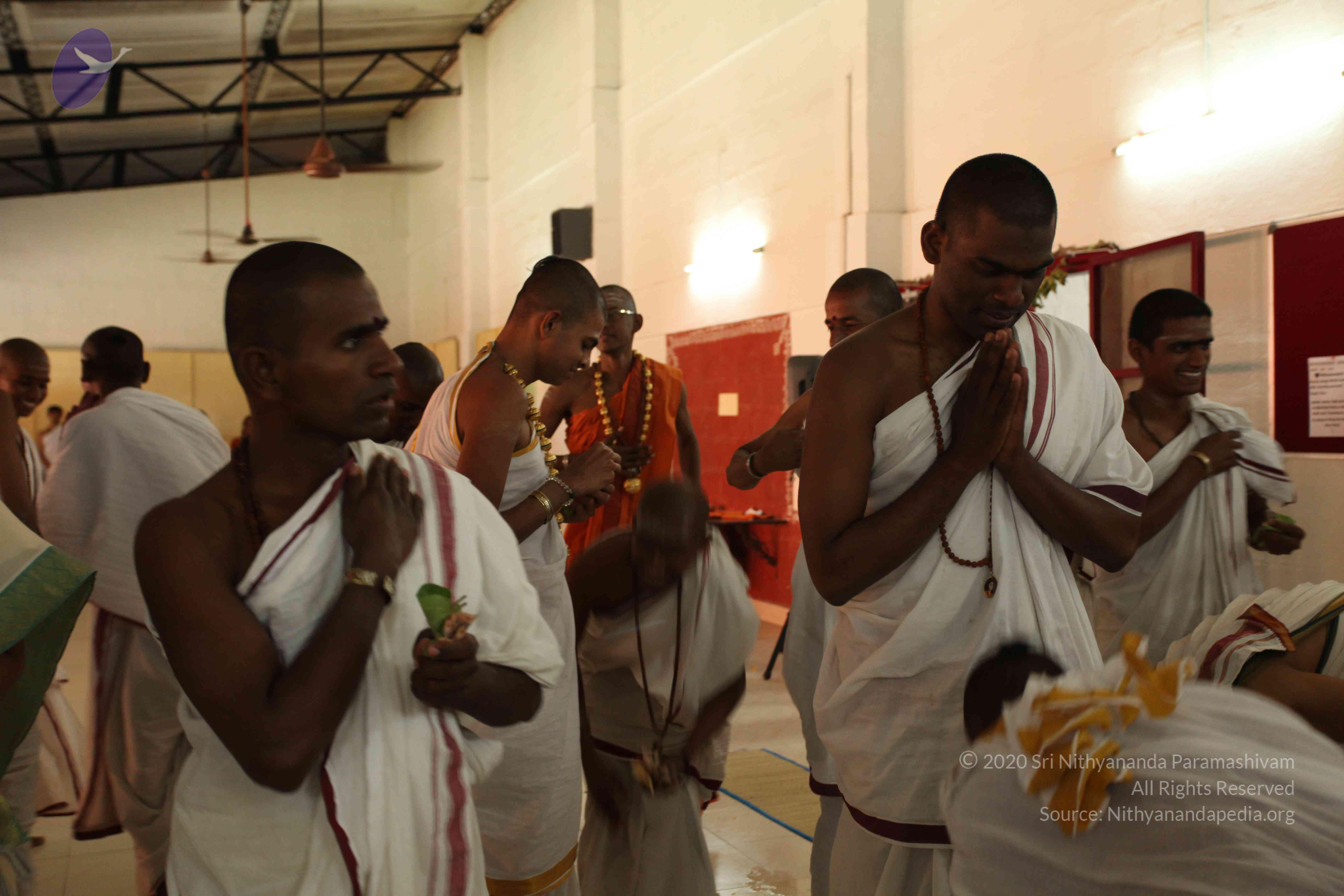 20110305_Photo_1002_IMG_7772_CMP_WM