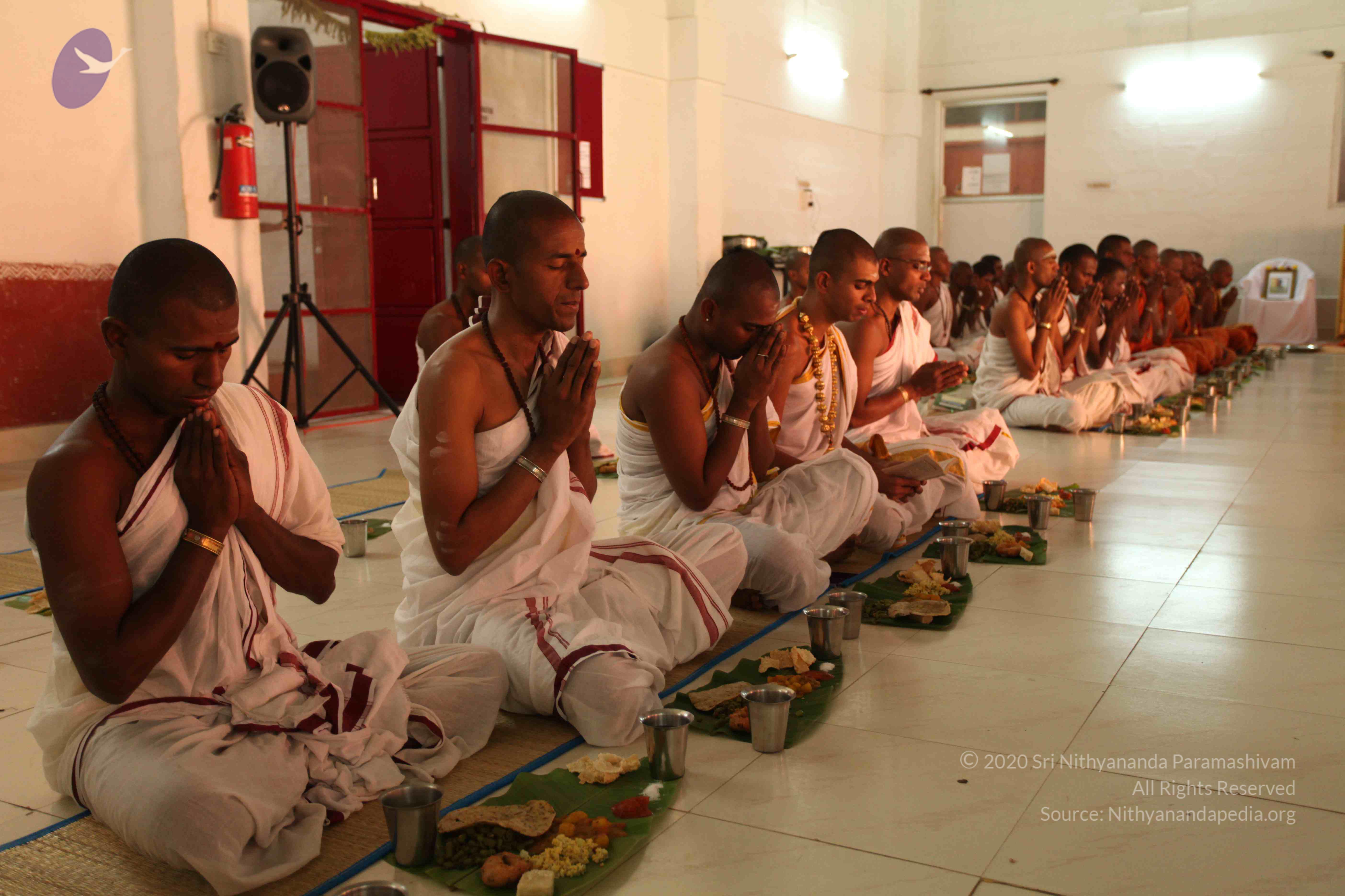 20110305_Photo_1017_IMG_7672_CMP_WM