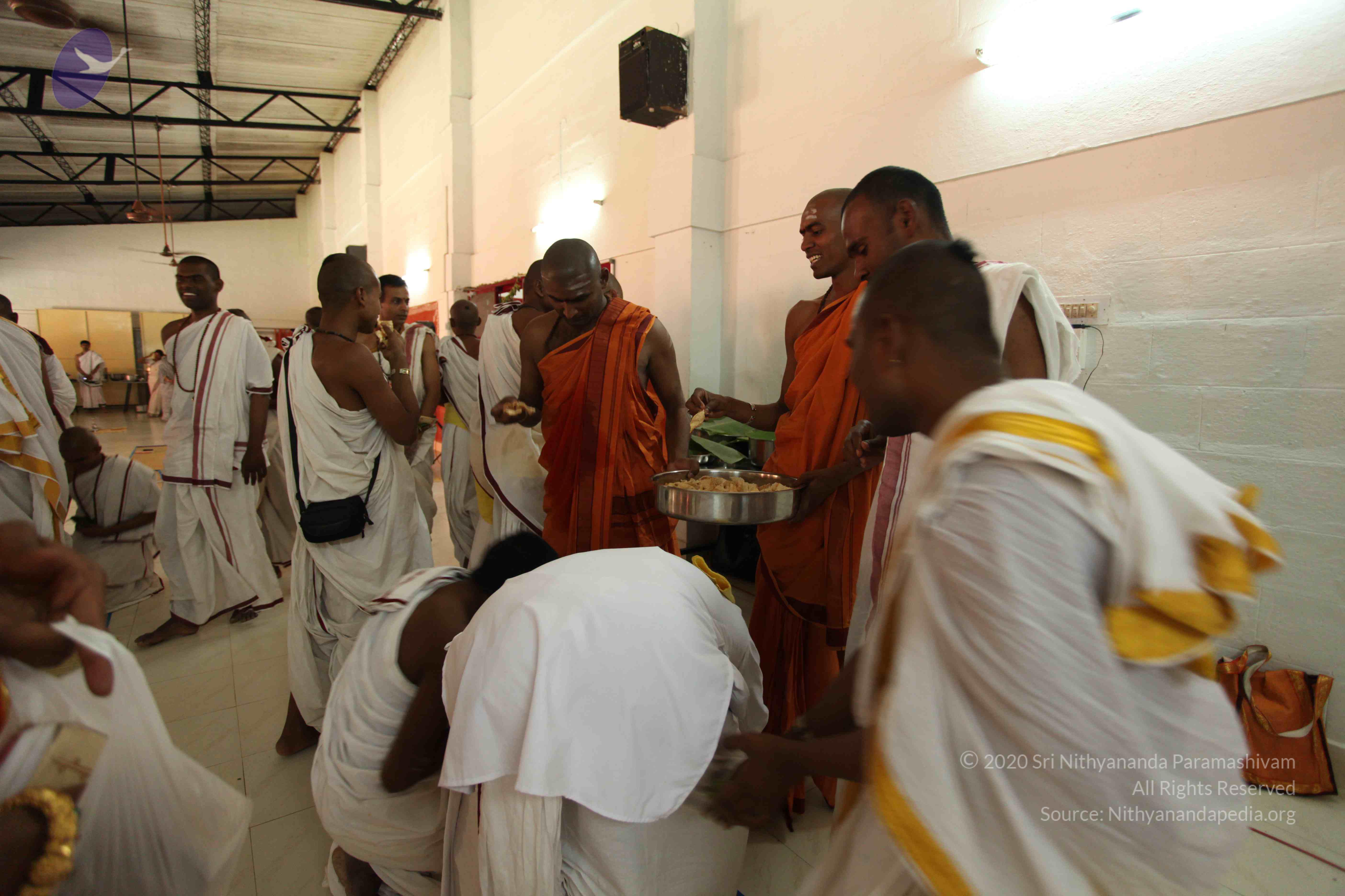 20110305_Photo_1031_IMG_7770_CMP_WM