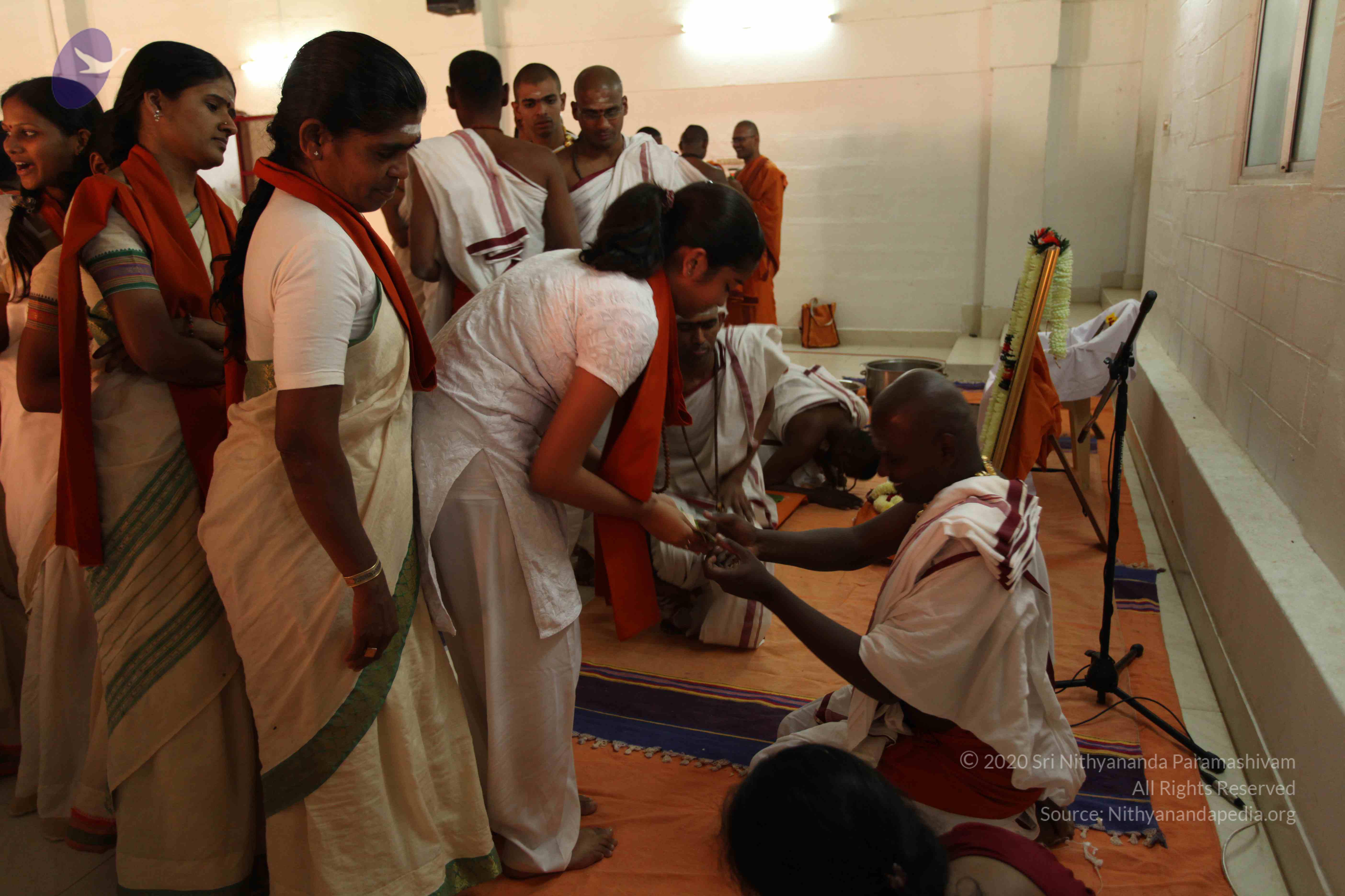 20110305_Photo_1032_IMG_7761_CMP_WM