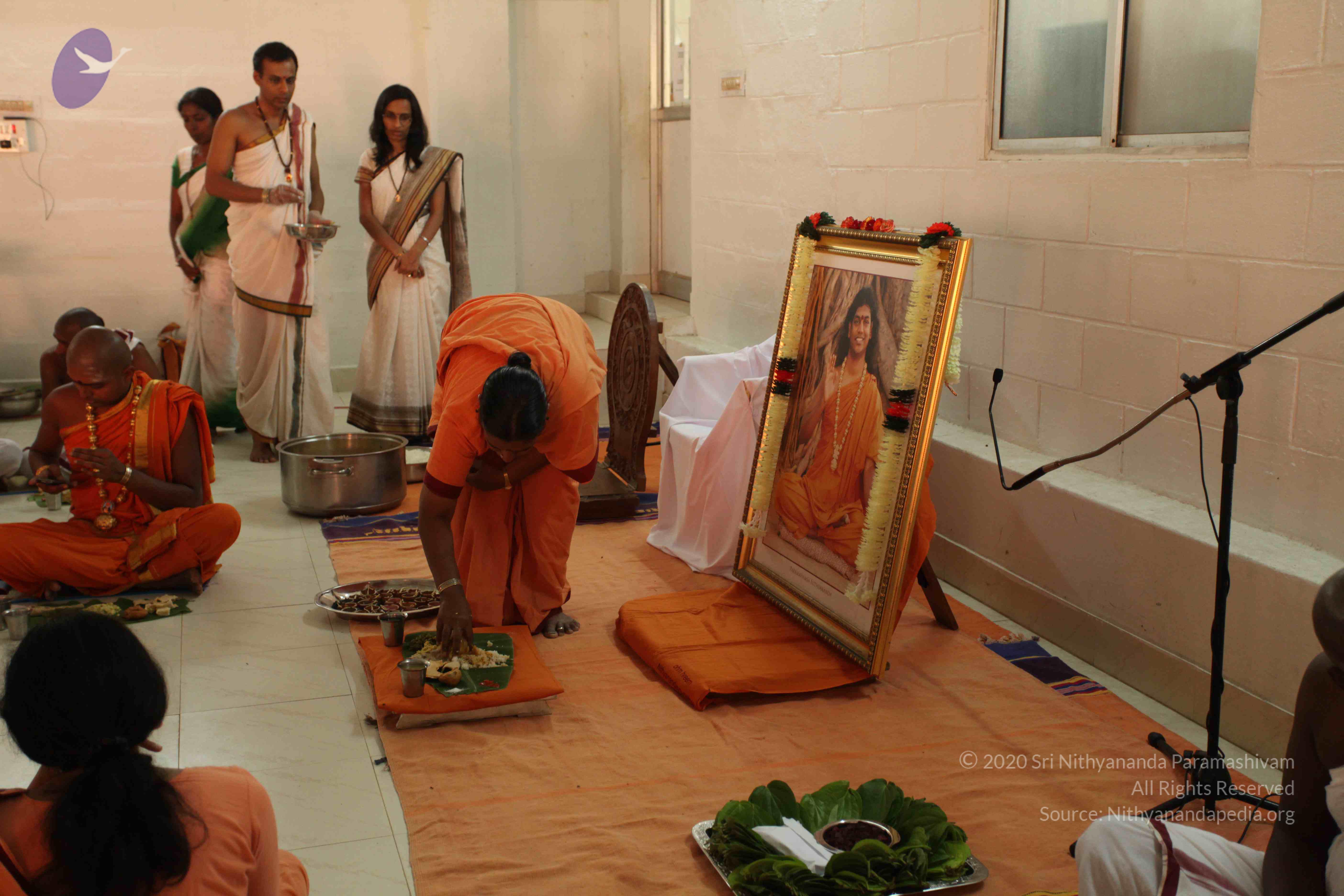 20110305_Photo_1035_IMG_7703_CMP_WM