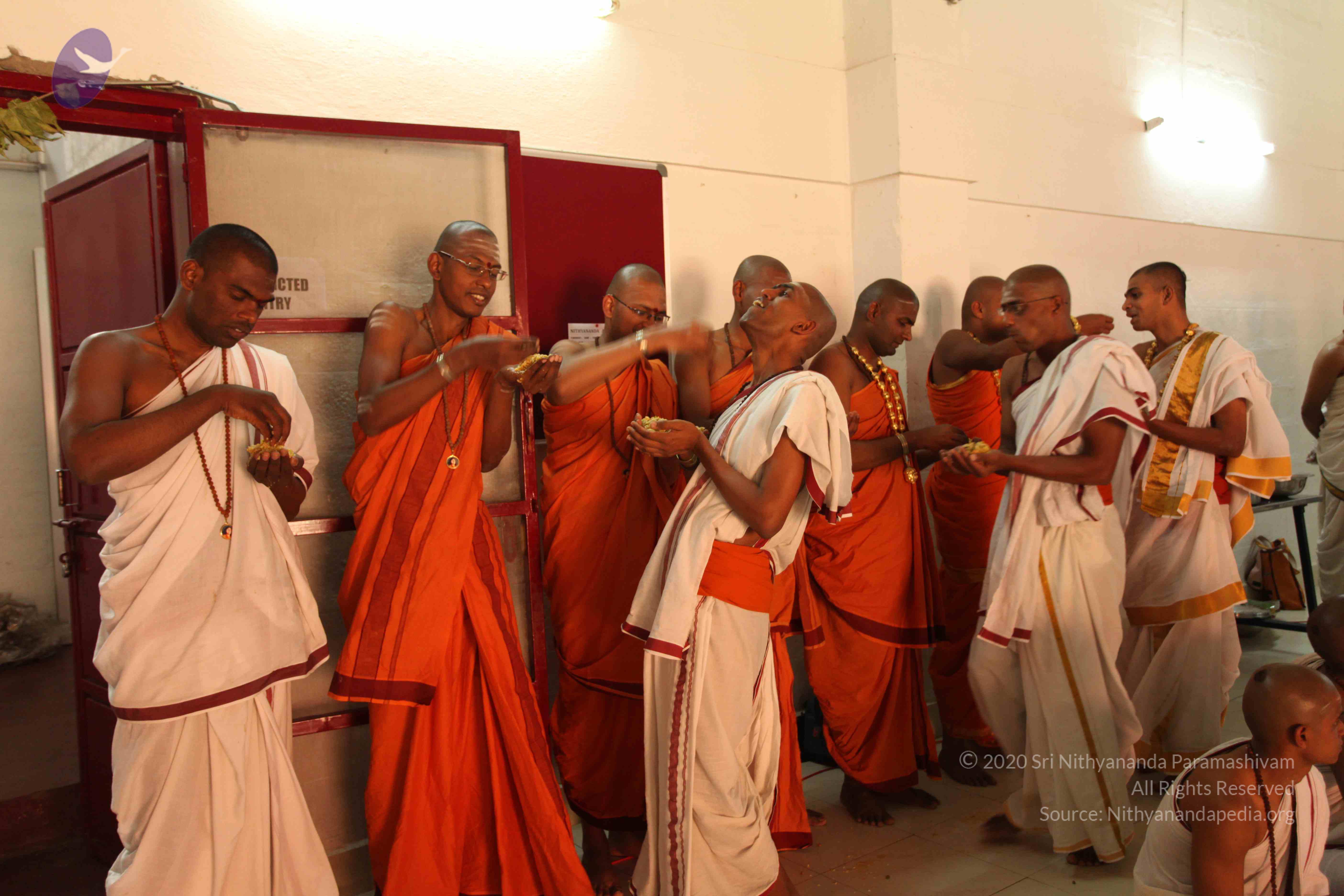 20110305_Photo_1038_IMG_7728_CMP_WM