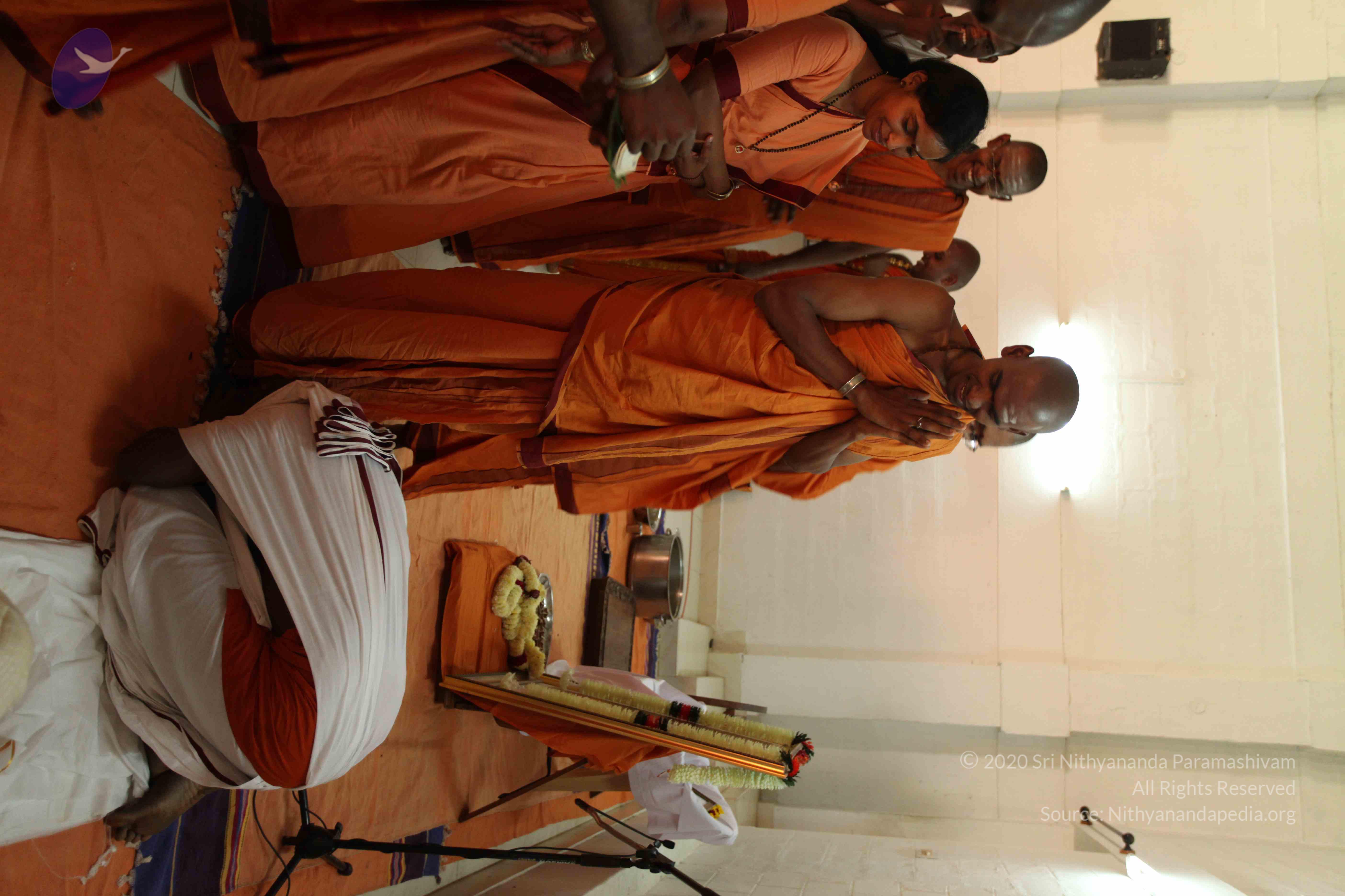 20110305_Photo_1040_IMG_7753_CMP_WM