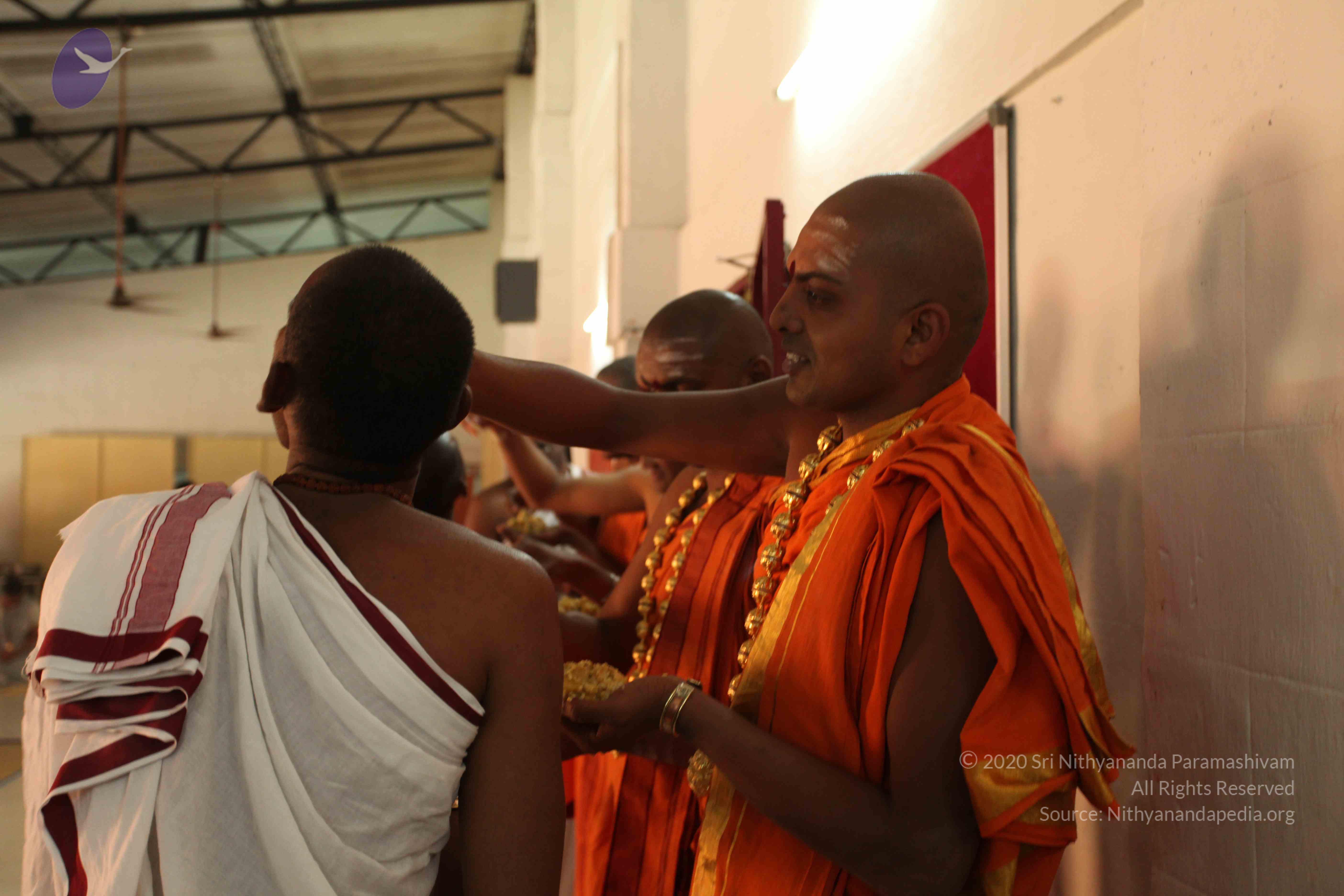 20110305_Photo_1047_IMG_7720_CMP_WM