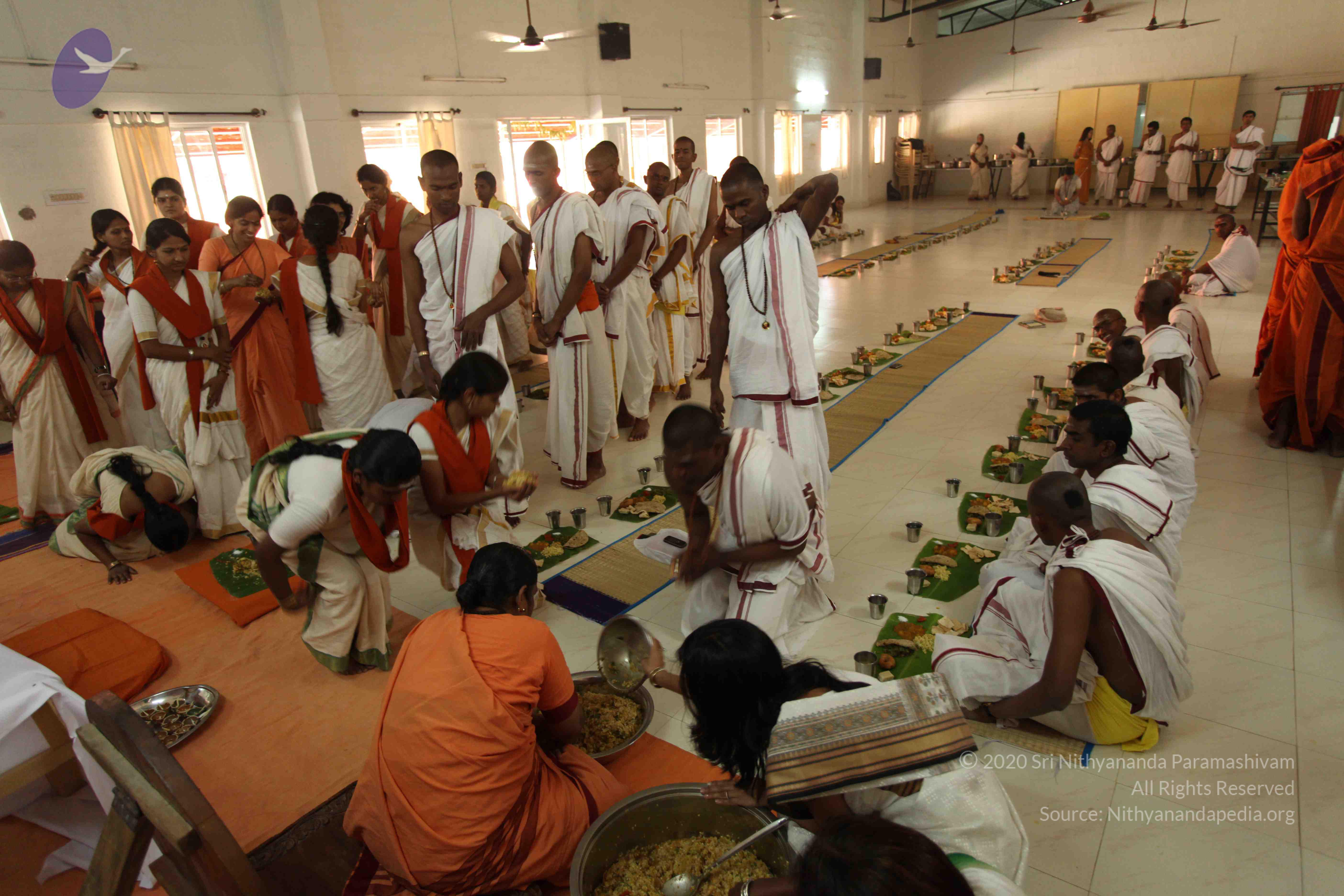 20110305_Photo_1051_IMG_7719_CMP_WM