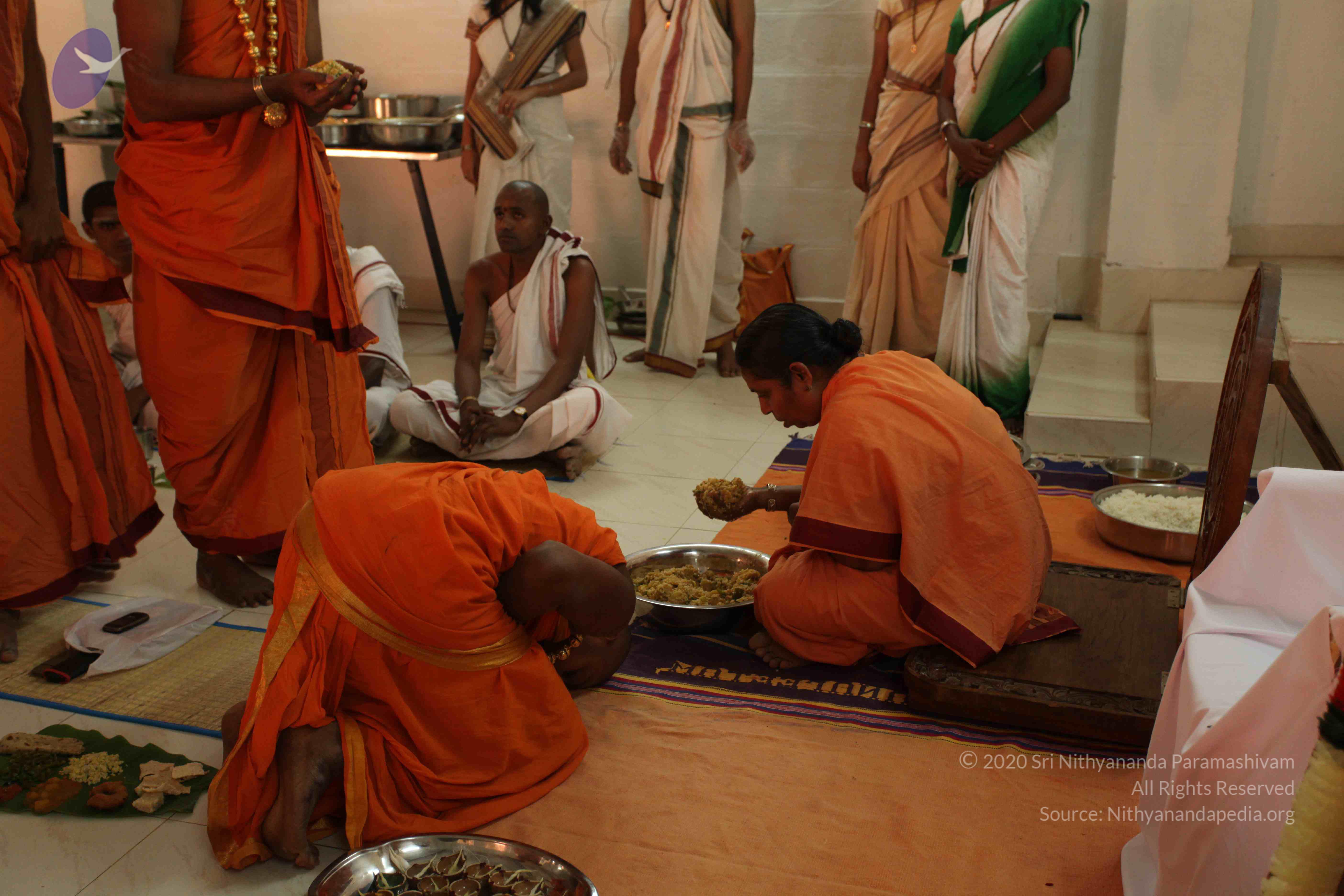 20110305_Photo_1059_IMG_7708_CMP_WM