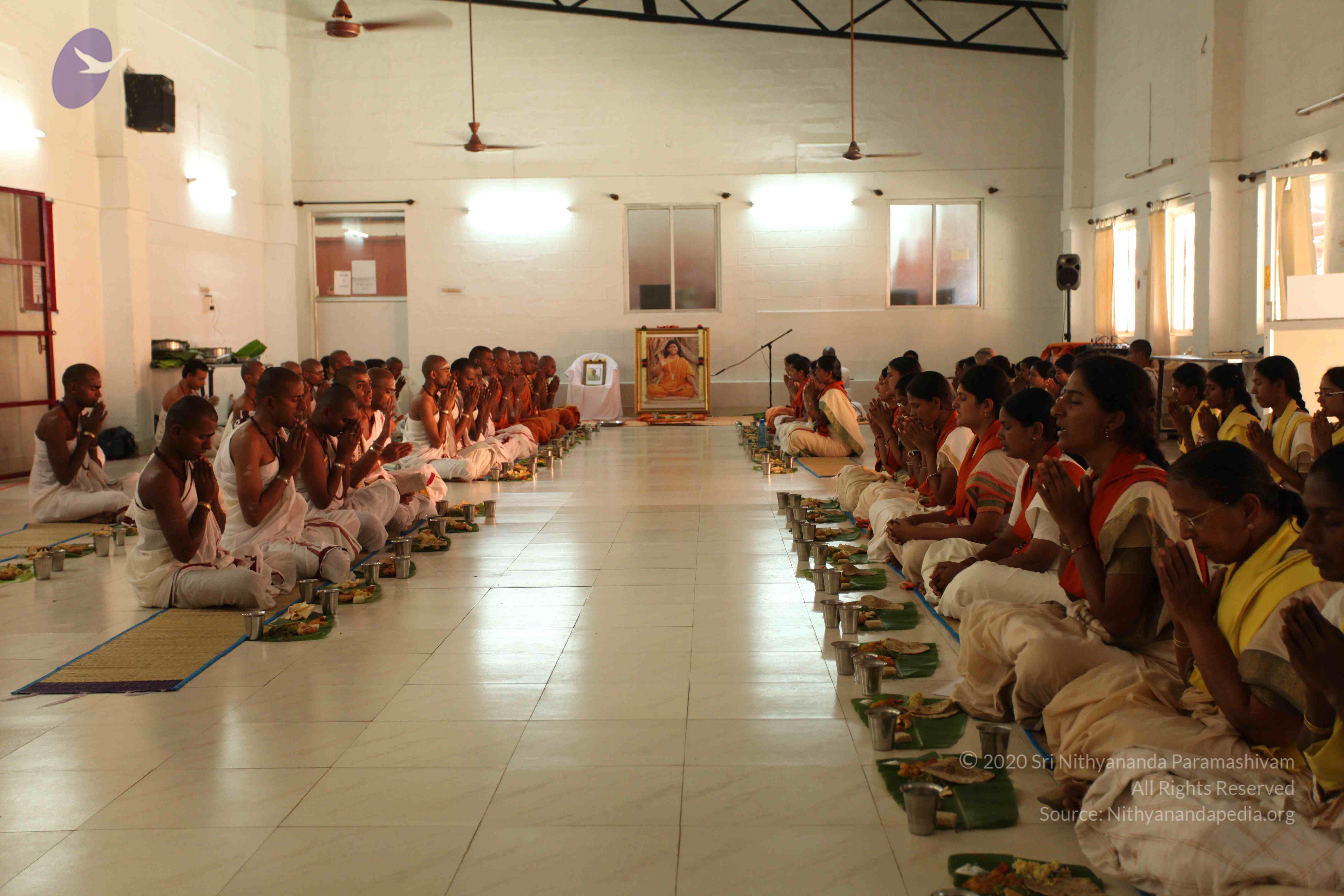 20110305_Photo_1076_IMG_7671_CMP_WM