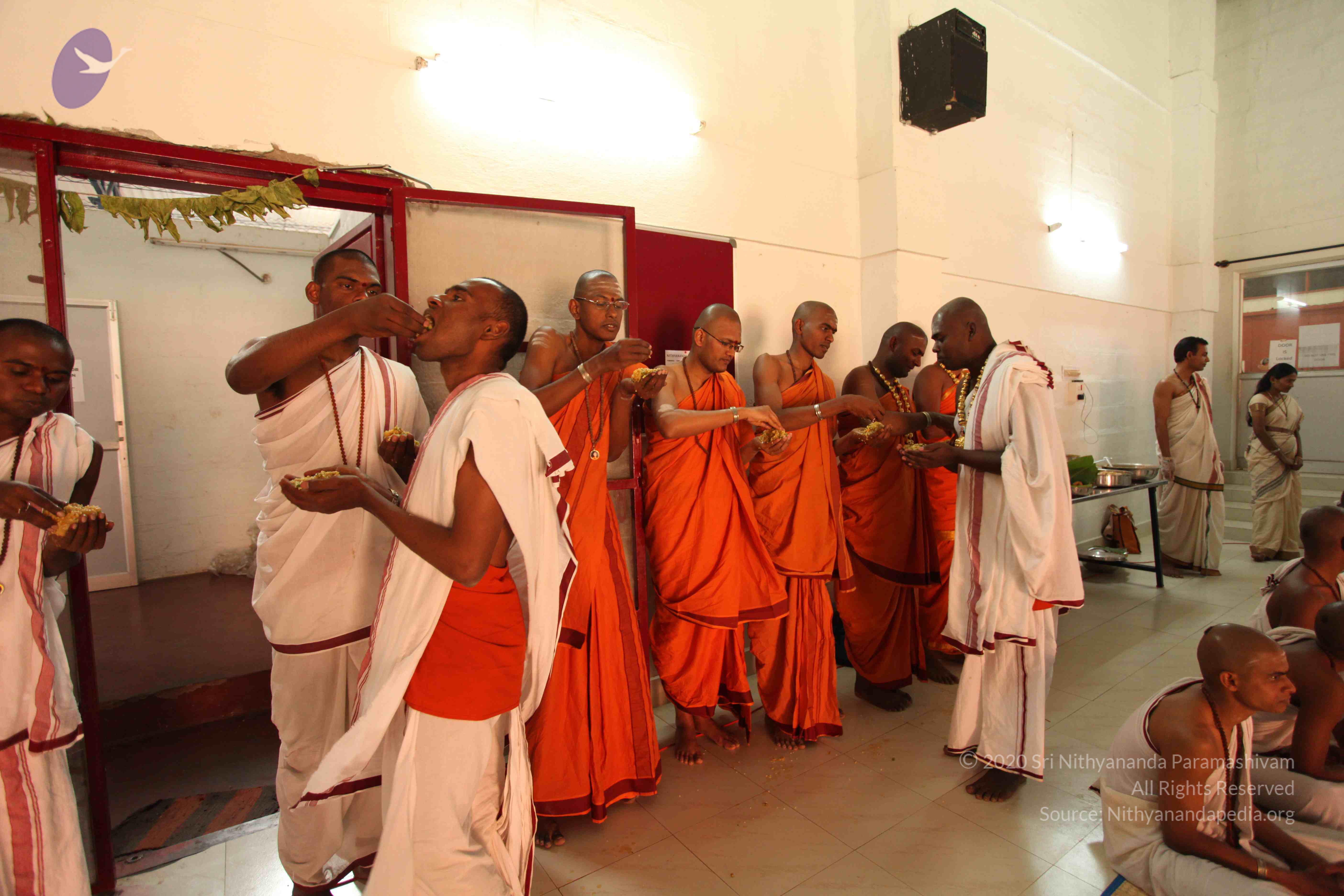 20110305_Photo_1091_IMG_7724_CMP_WM