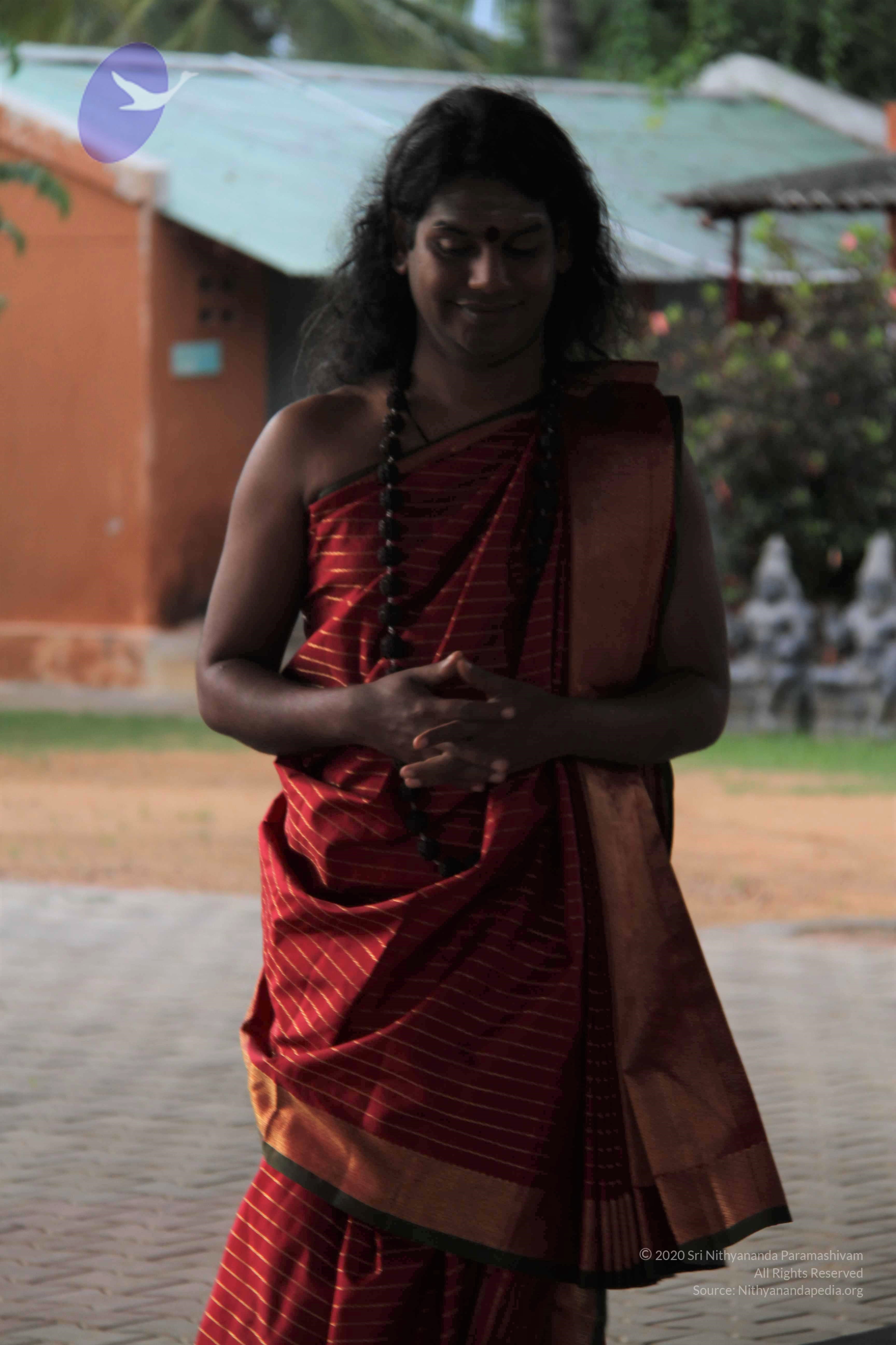 20110901_Photo_1004_IMG_2379_CMP_WM