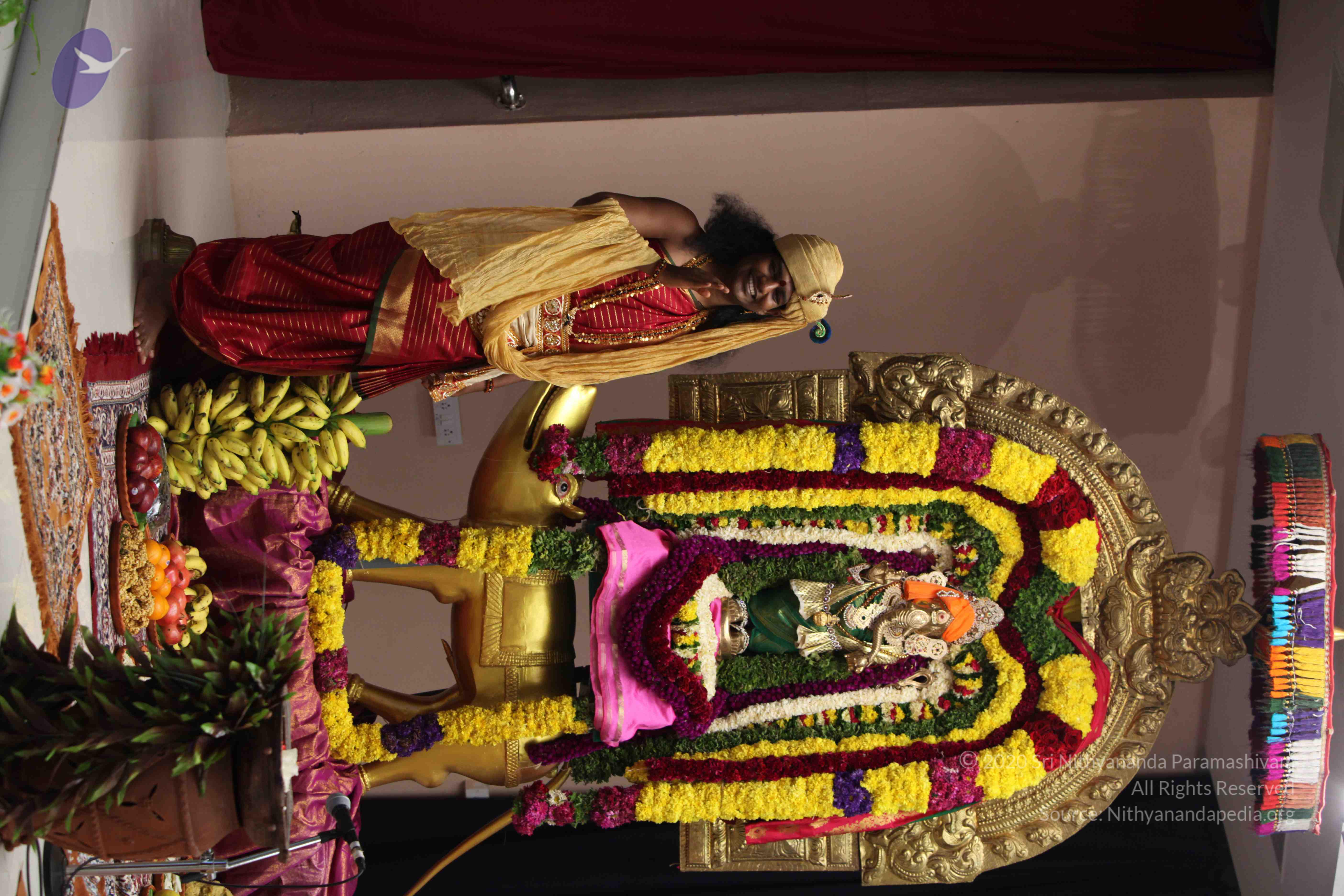 20110901_Photo_1005_IMG_2536_CMP_WM